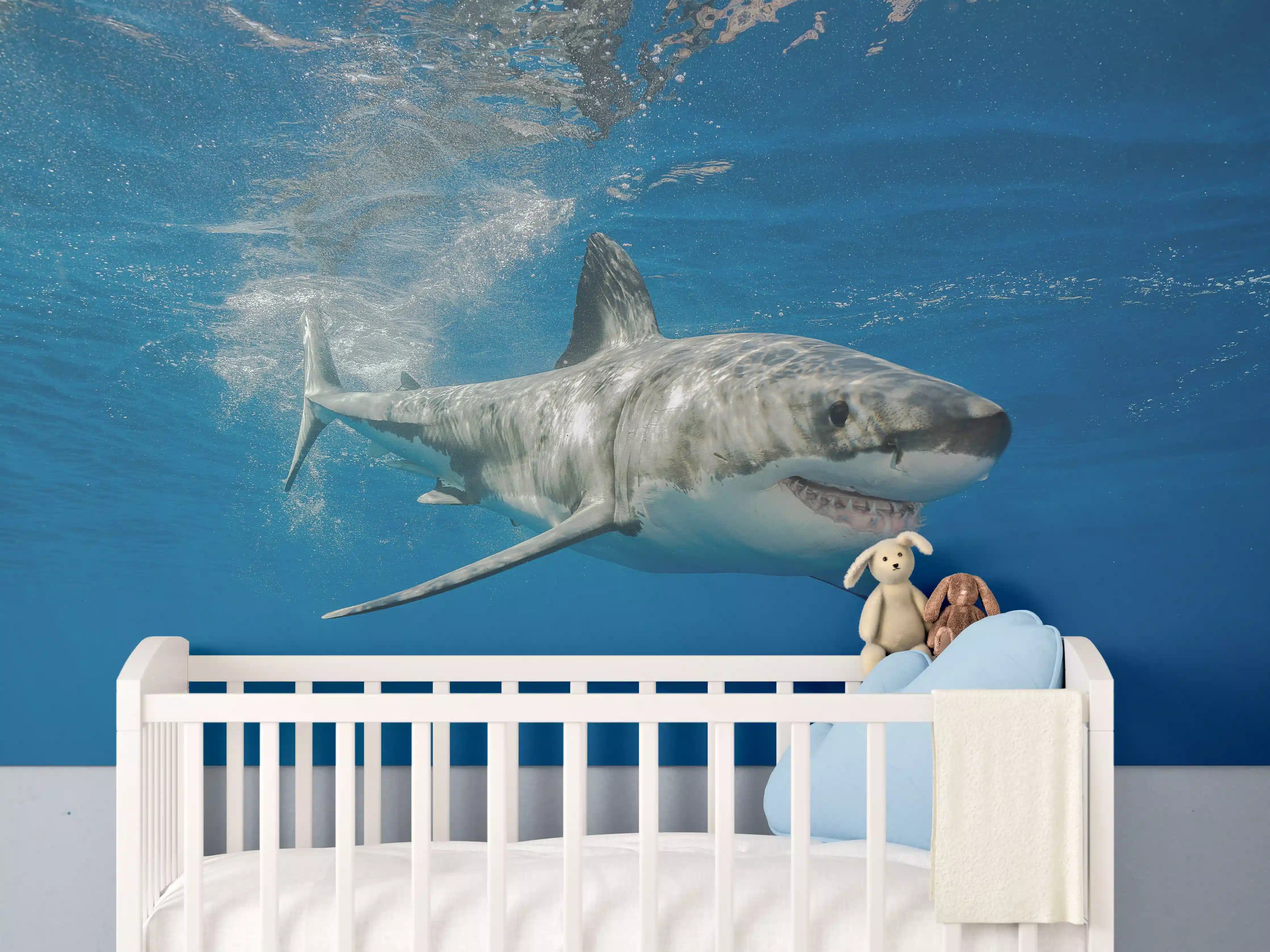 Babyzimmer Wandgestaltung - Weißer Hai in Unterwasseransicht