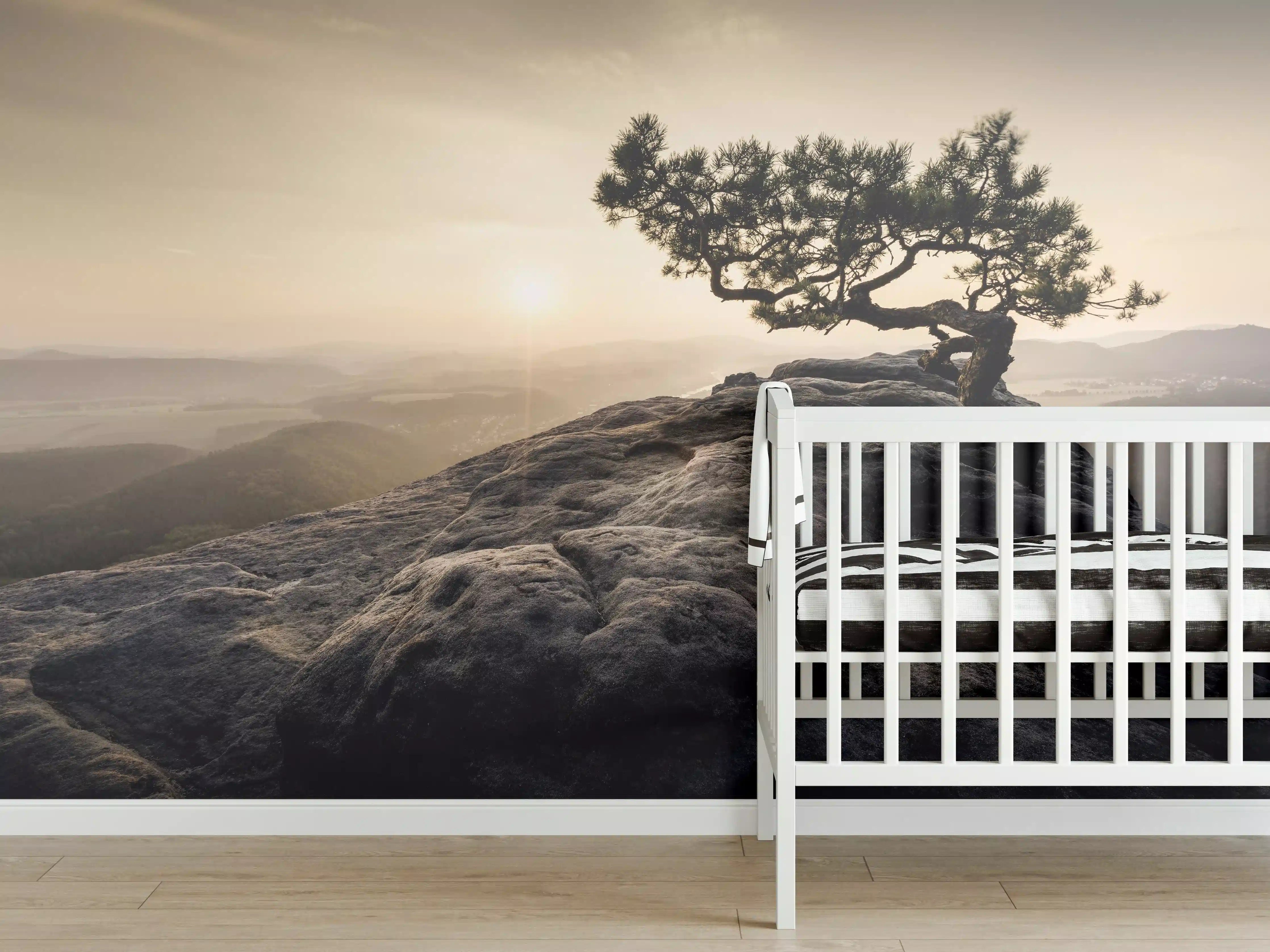 Babyzimmer Wandgestaltung - alte Kiefer zum Sonnenaufgang - Sächsische Schweiz