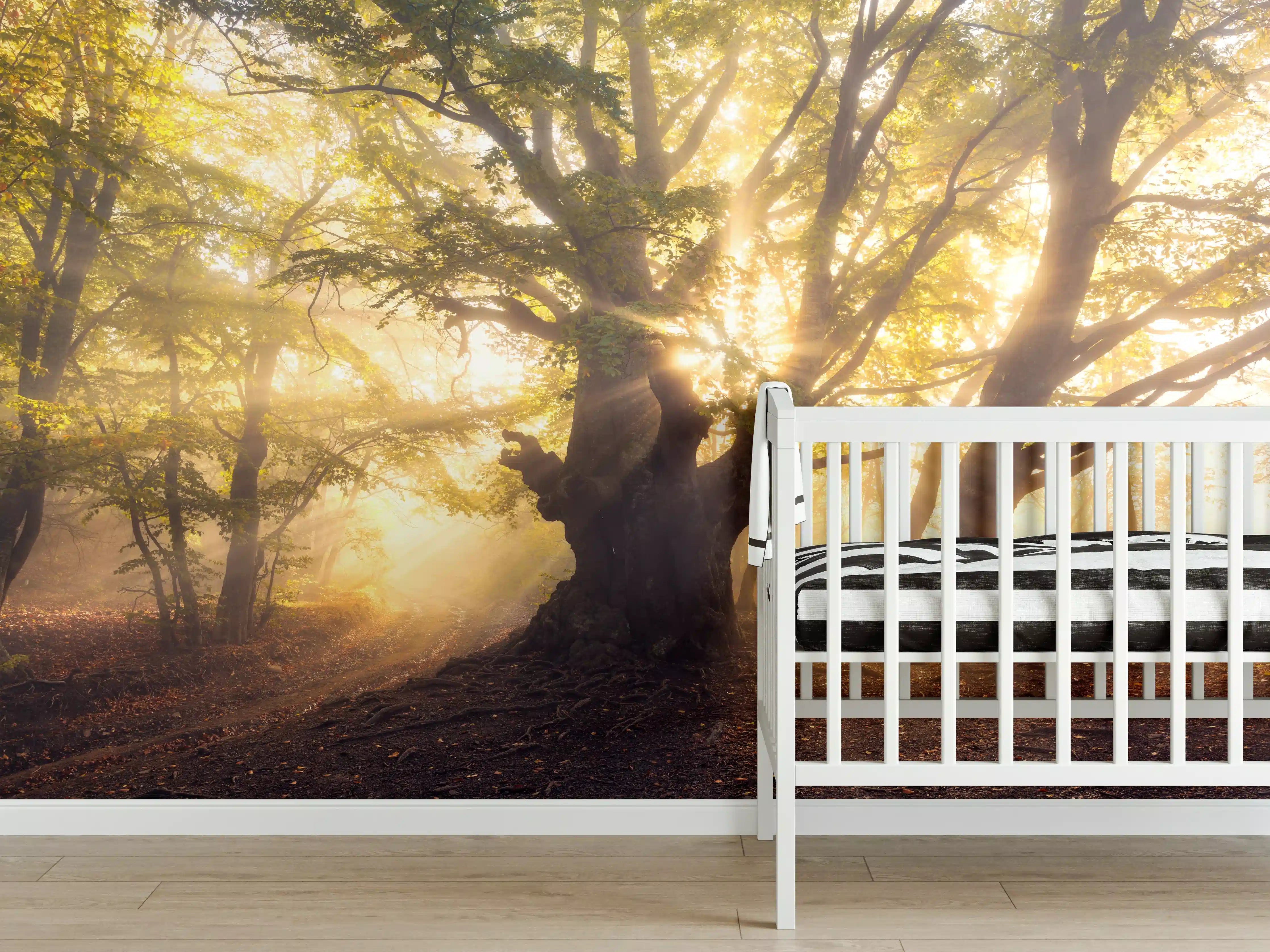 Babyzimmer Wandgestaltung - alter Baum bei Sonnenaufgang im Nebel