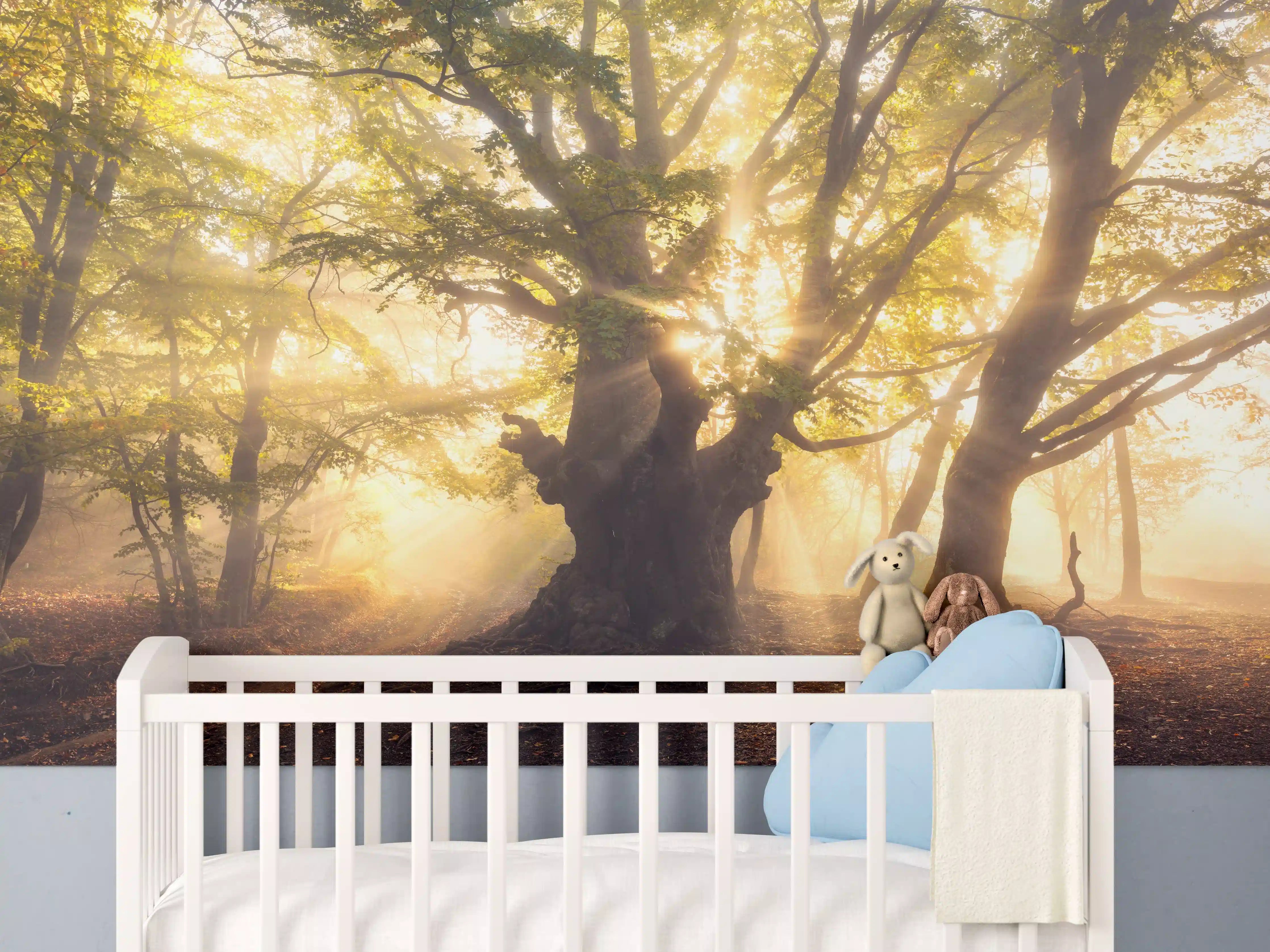 Babyzimmer Wandgestaltung - alter Baum bei Sonnenaufgang im Nebel