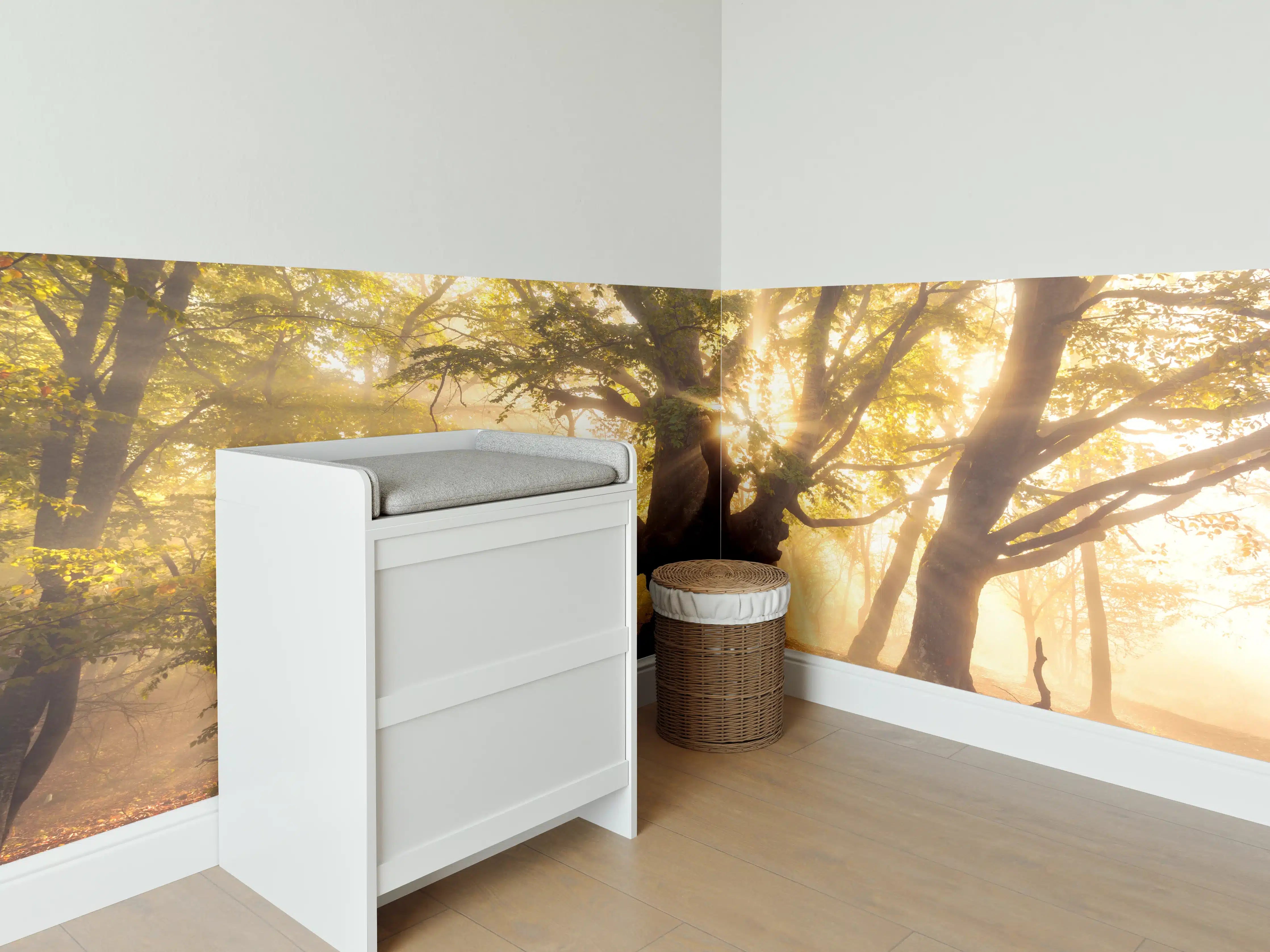 Babyzimmer Wandgestaltung - alter Baum bei Sonnenaufgang im Nebel
