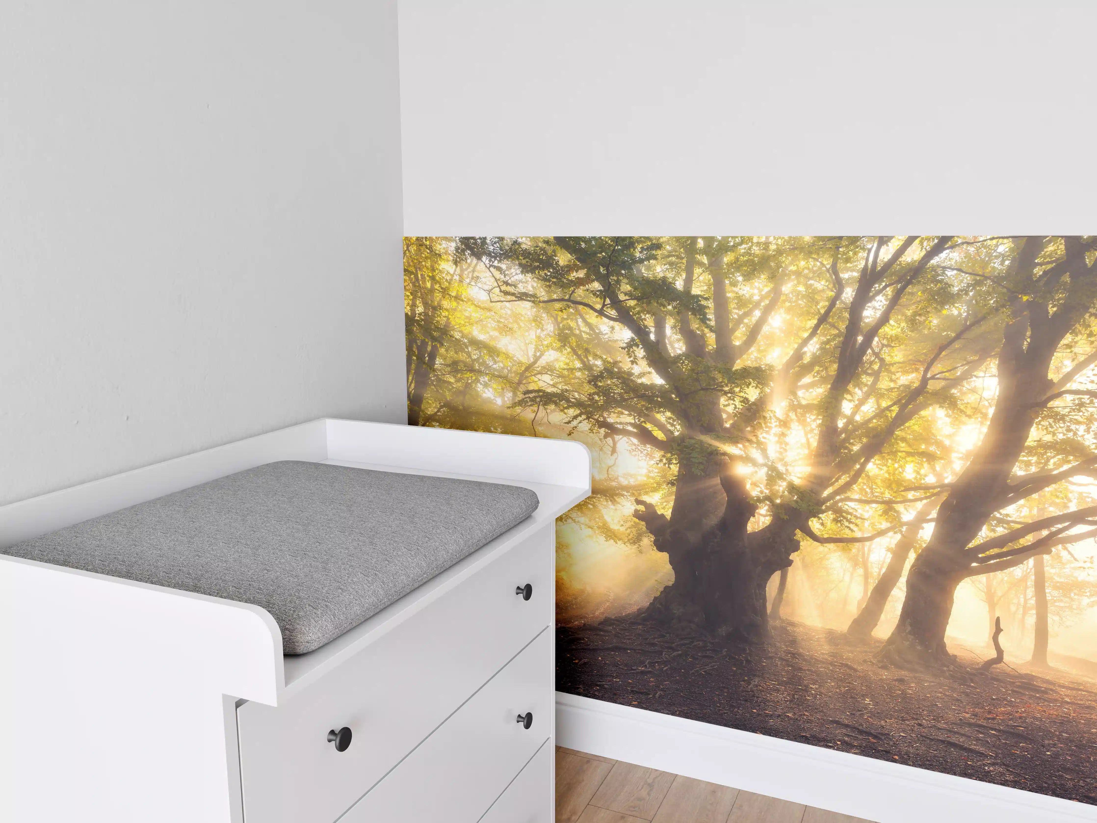 Babyzimmer Wandgestaltung - alter Baum bei Sonnenaufgang im Nebel