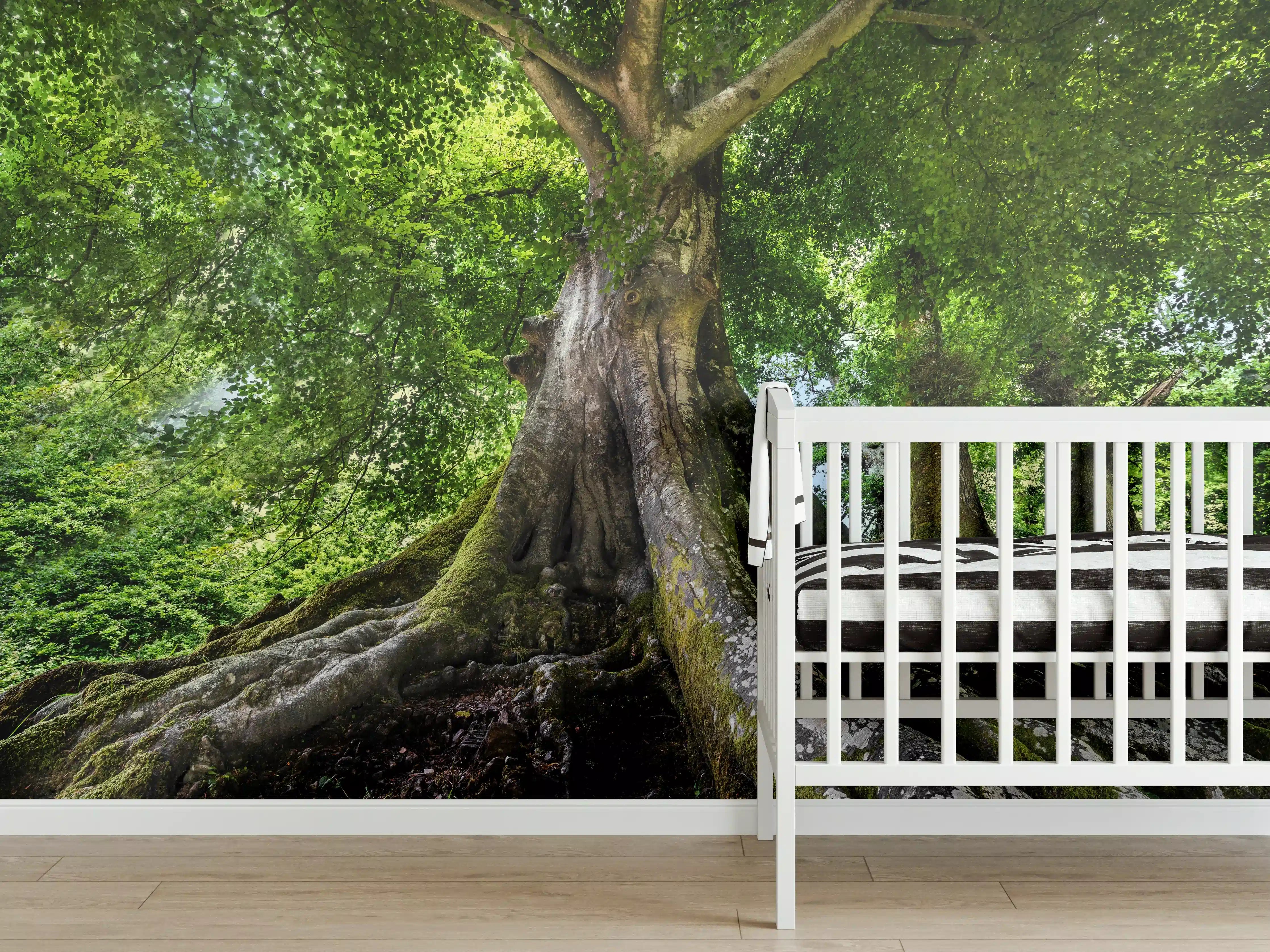 Babyzimmer Wandgestaltung - großer alter Baum in Froschperspektive