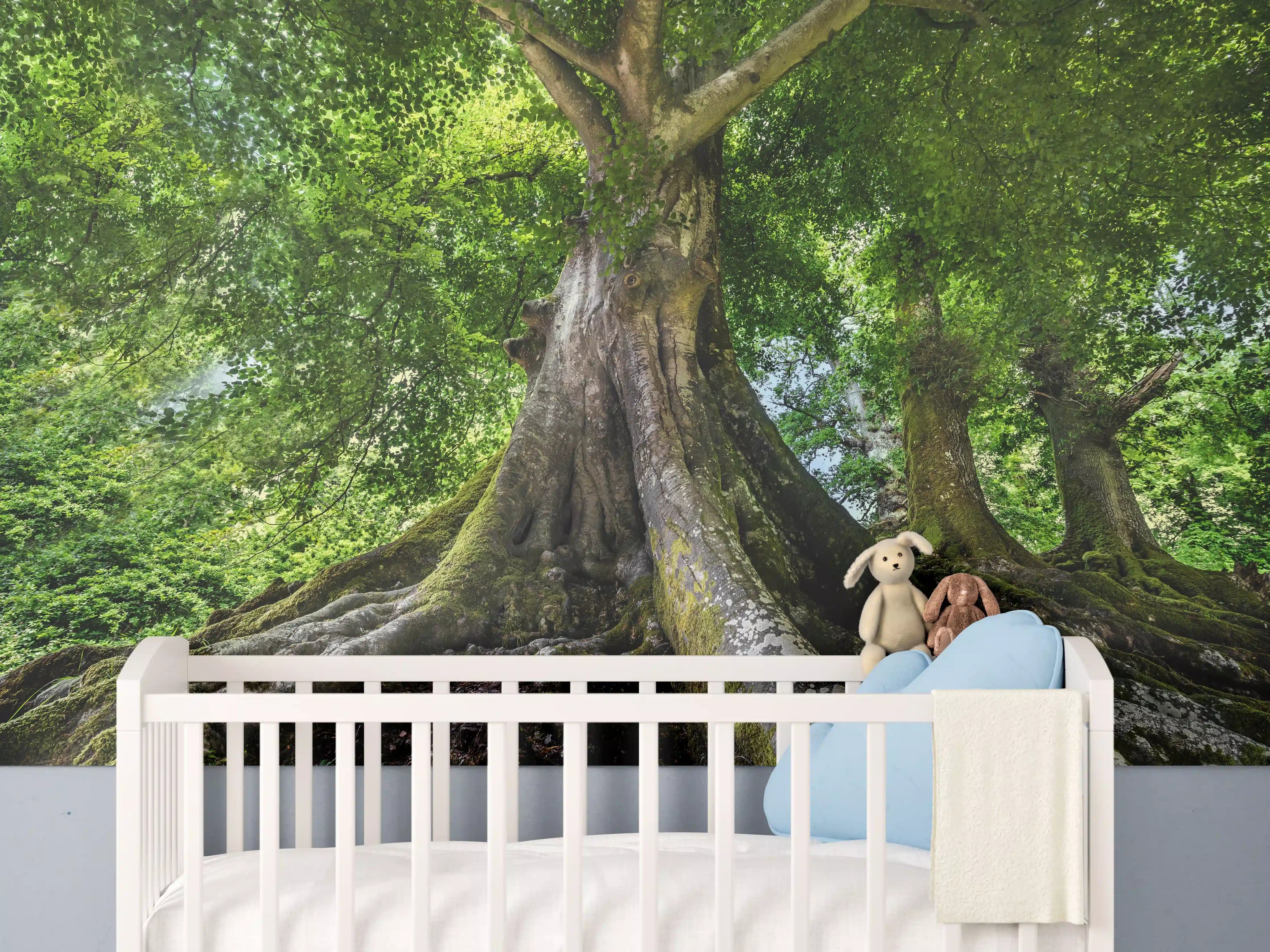 Babyzimmer Wandgestaltung - großer alter Baum in Froschperspektive