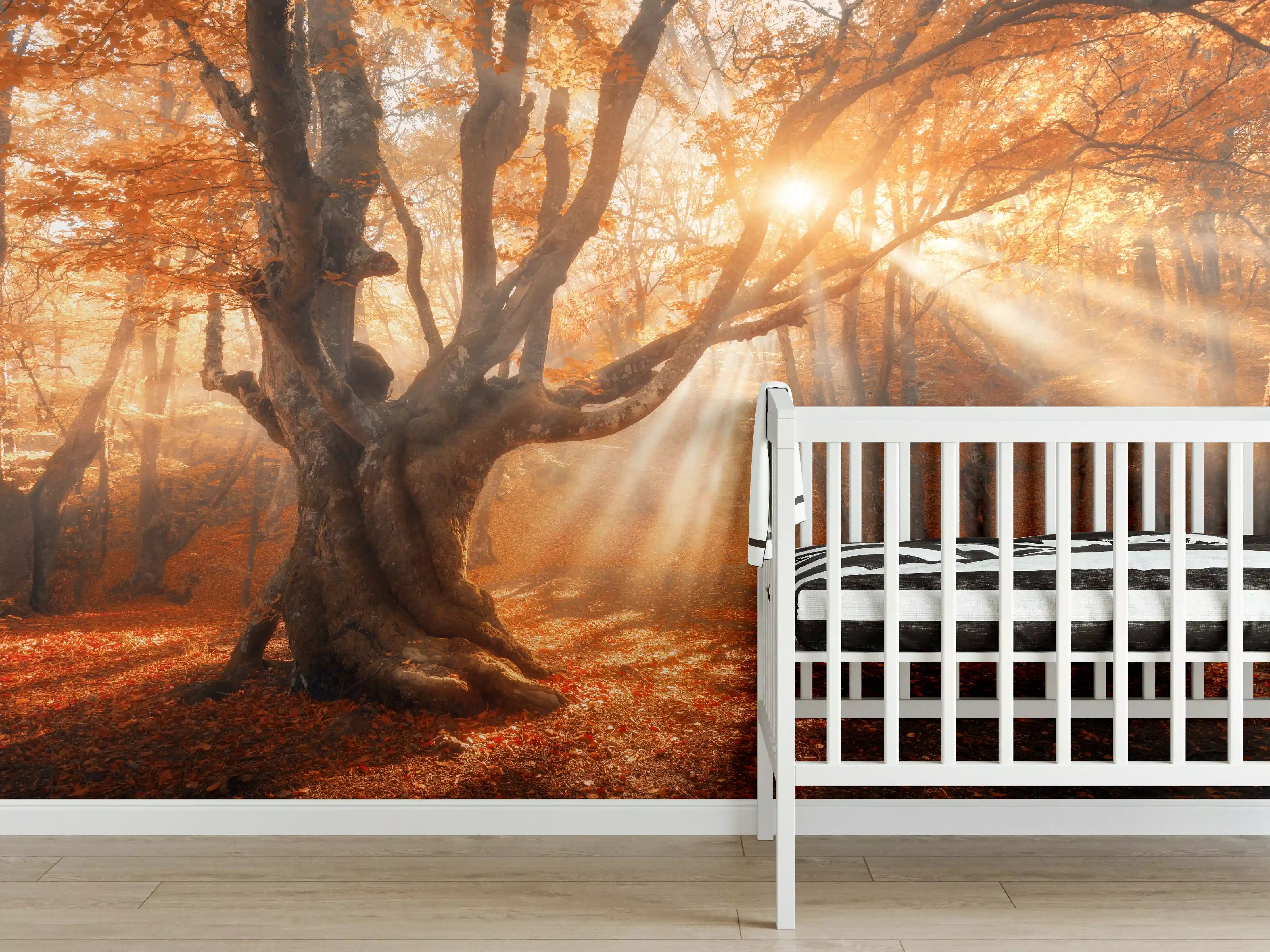 Babyzimmer Wandgestaltung - magischer alter Baum im Herbst