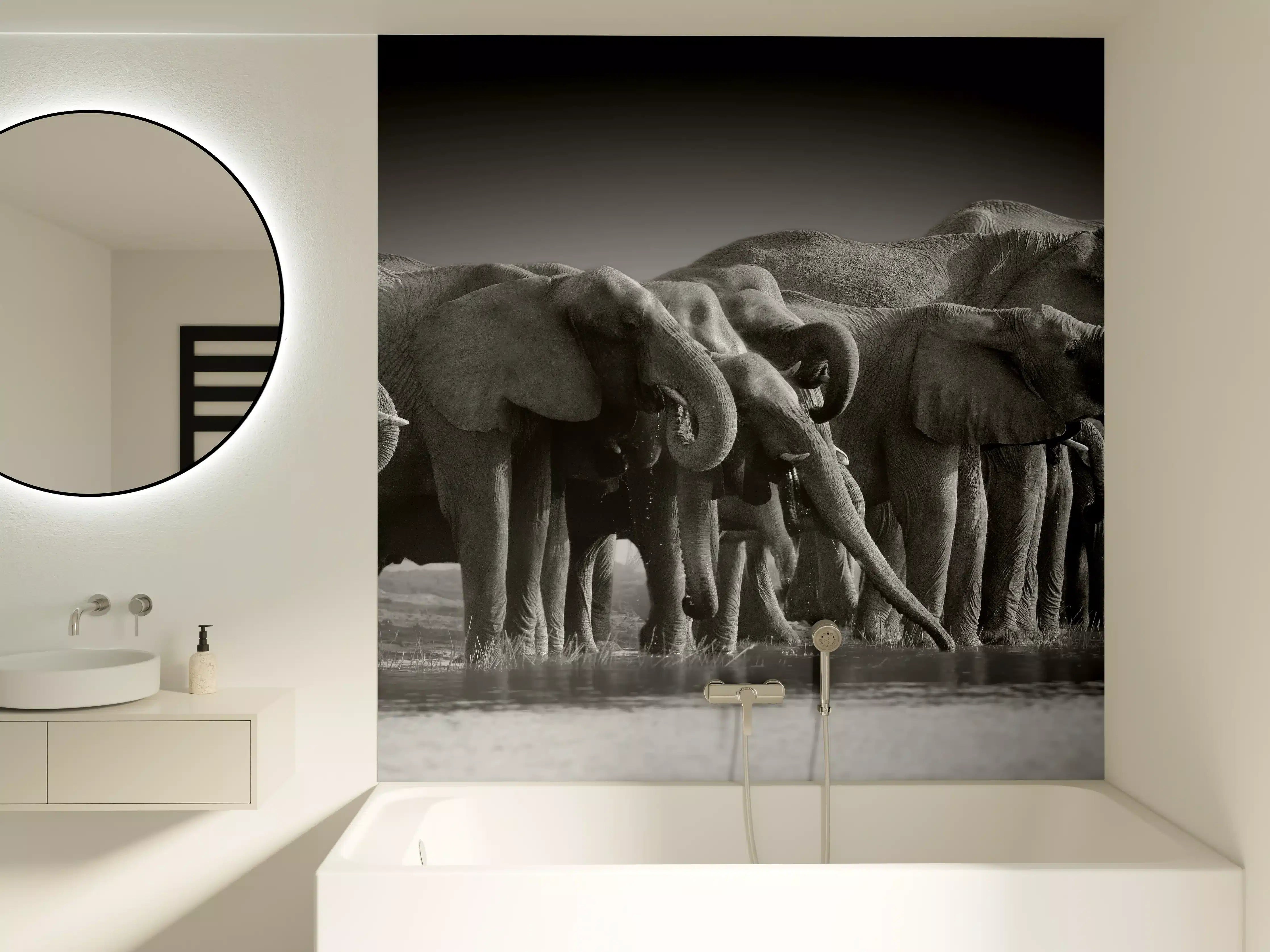 Badewannen-Rückwand - Afrikanische Elefantenherde (Schwarz-Weiß)