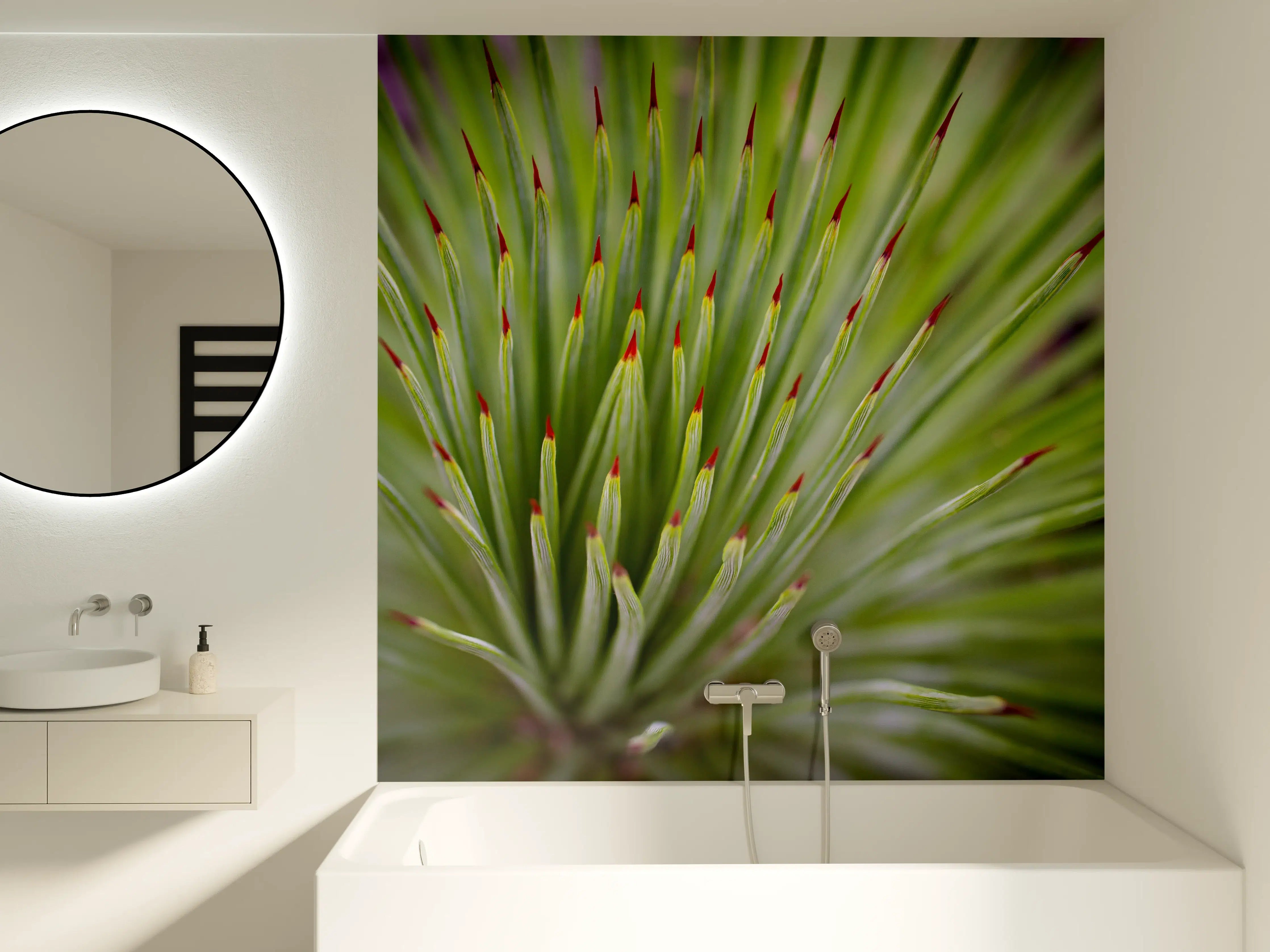 Badewannen-Rückwand - Agave striata im Detail