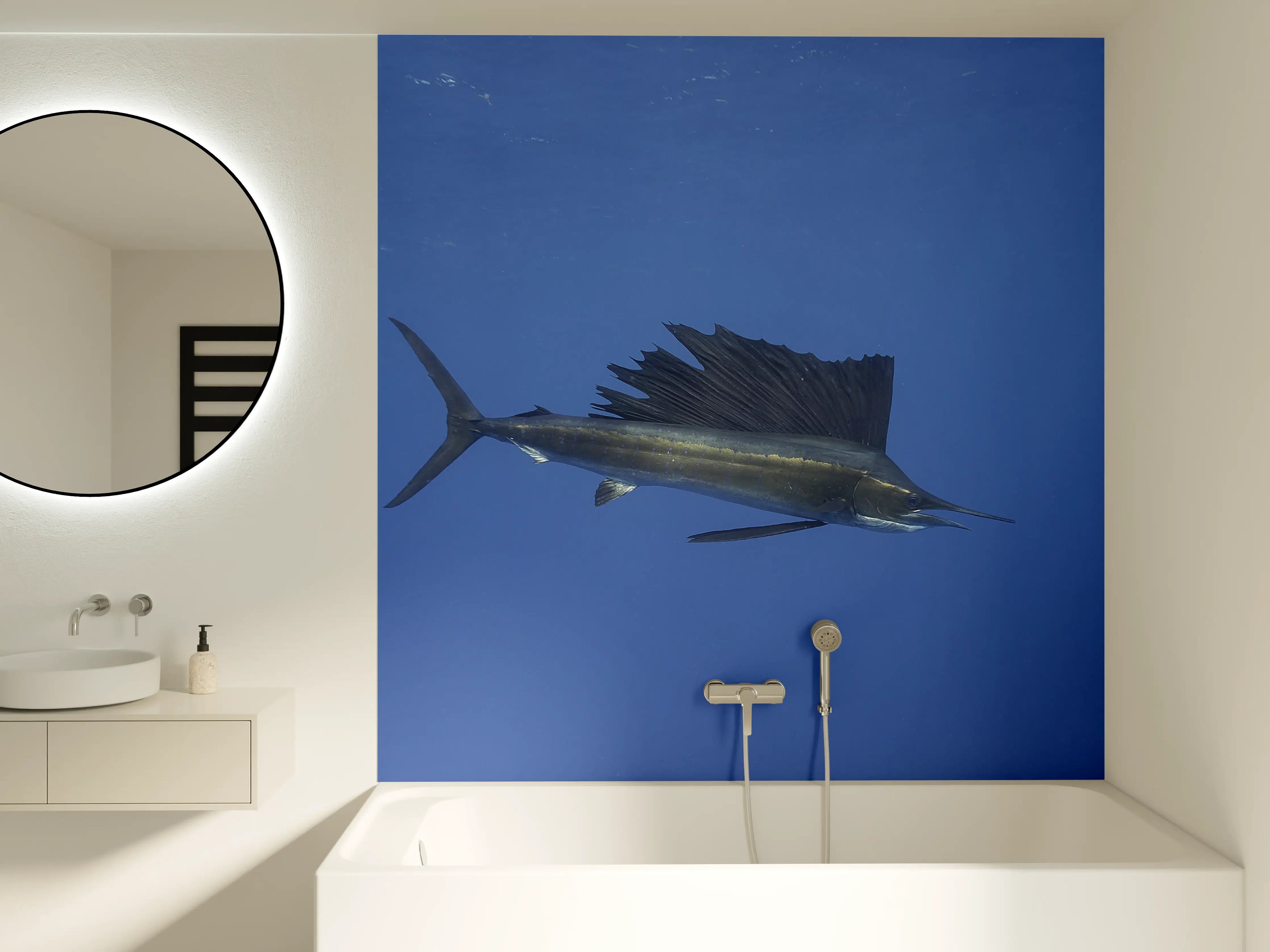 Badewannen-Rückwand - Atlantischer Segelfisch vor Küste Mexico
