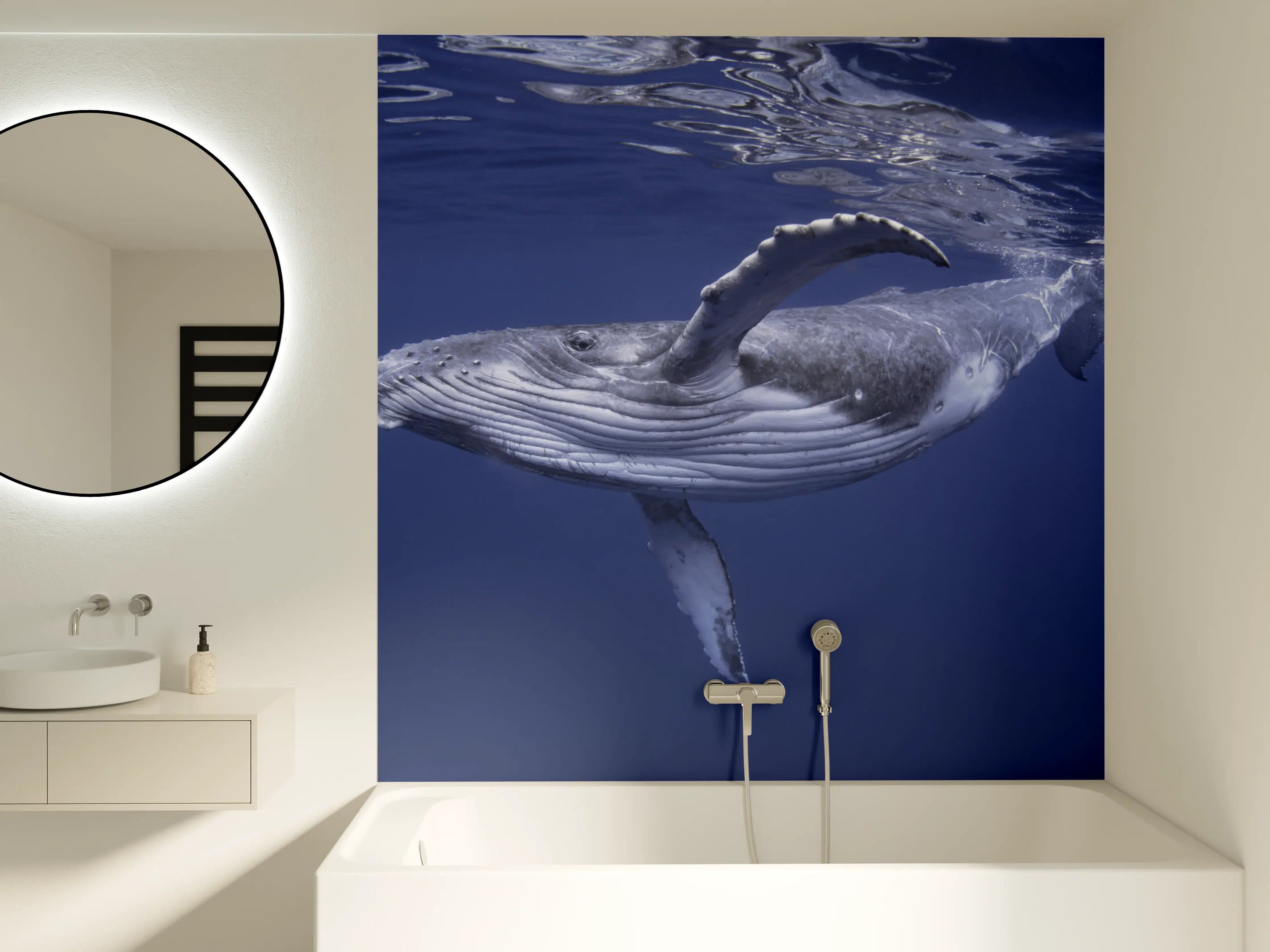 Badewannen-Rückwand - Baby-Buckelwal-Kalb im blauen Wasser