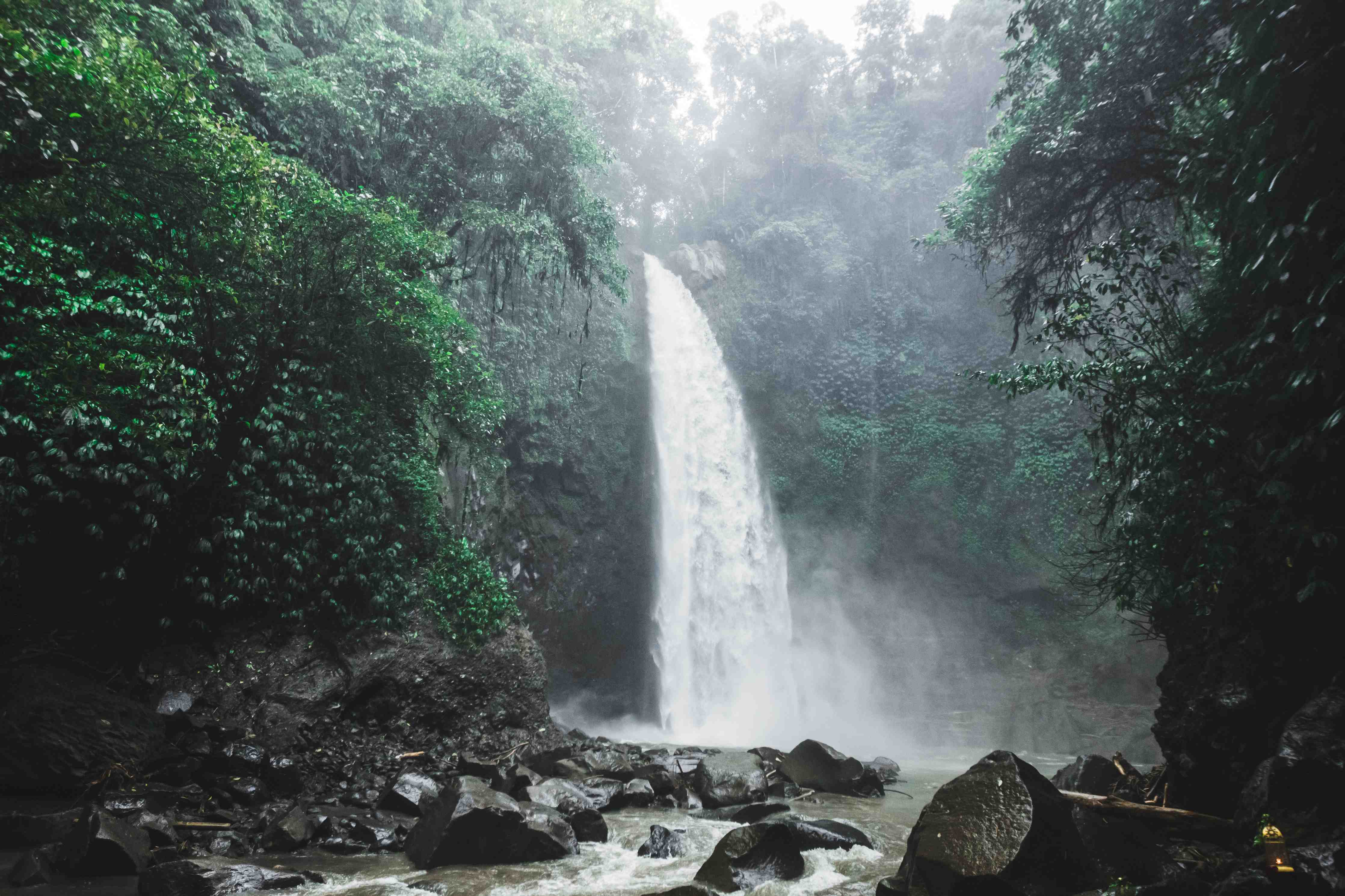 Badewannen-Rückwand-Bali-Wasserfall im tiefen Dschungel