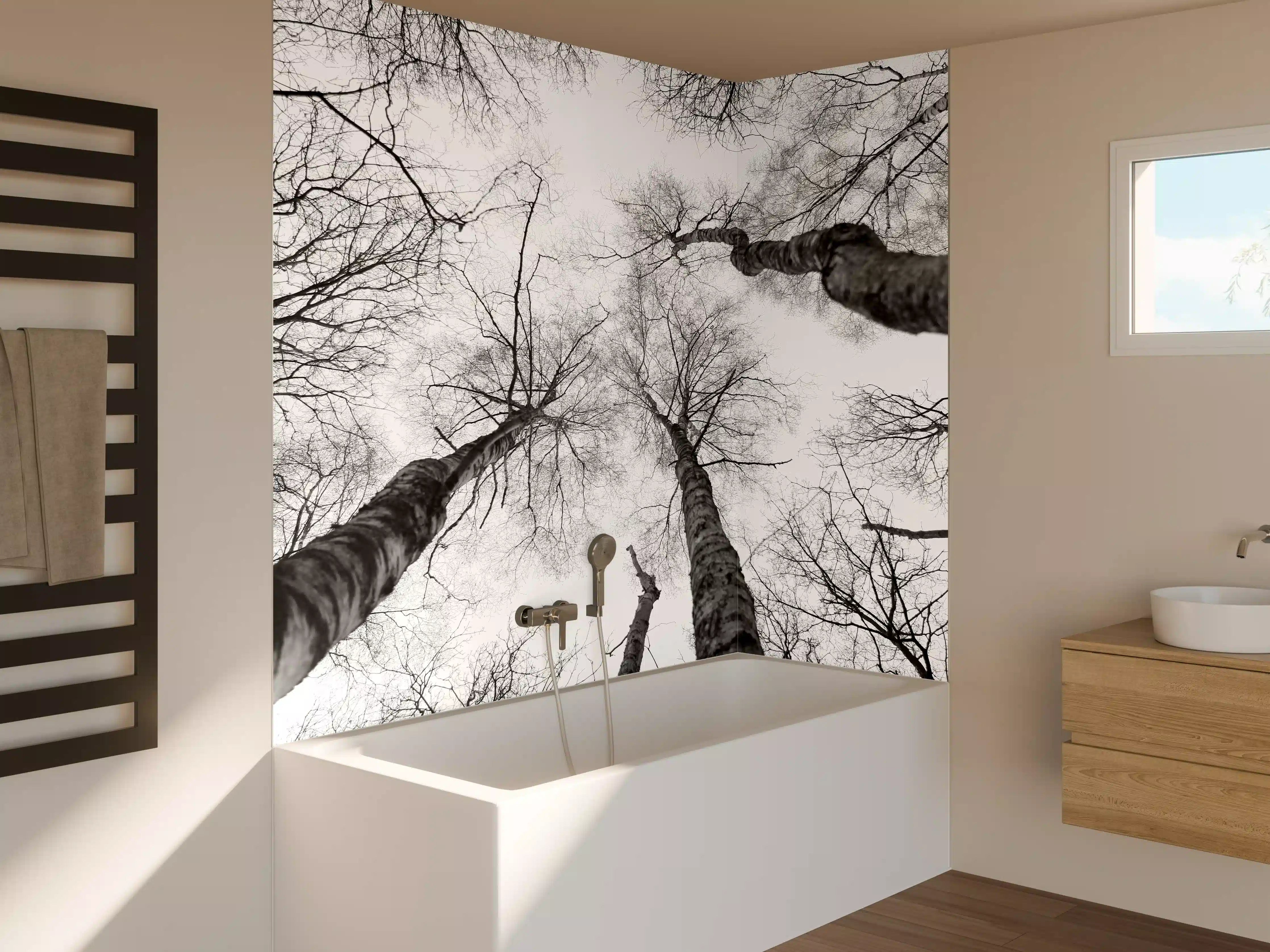 Badewannen-Rückwand - Birken im Winter von unten