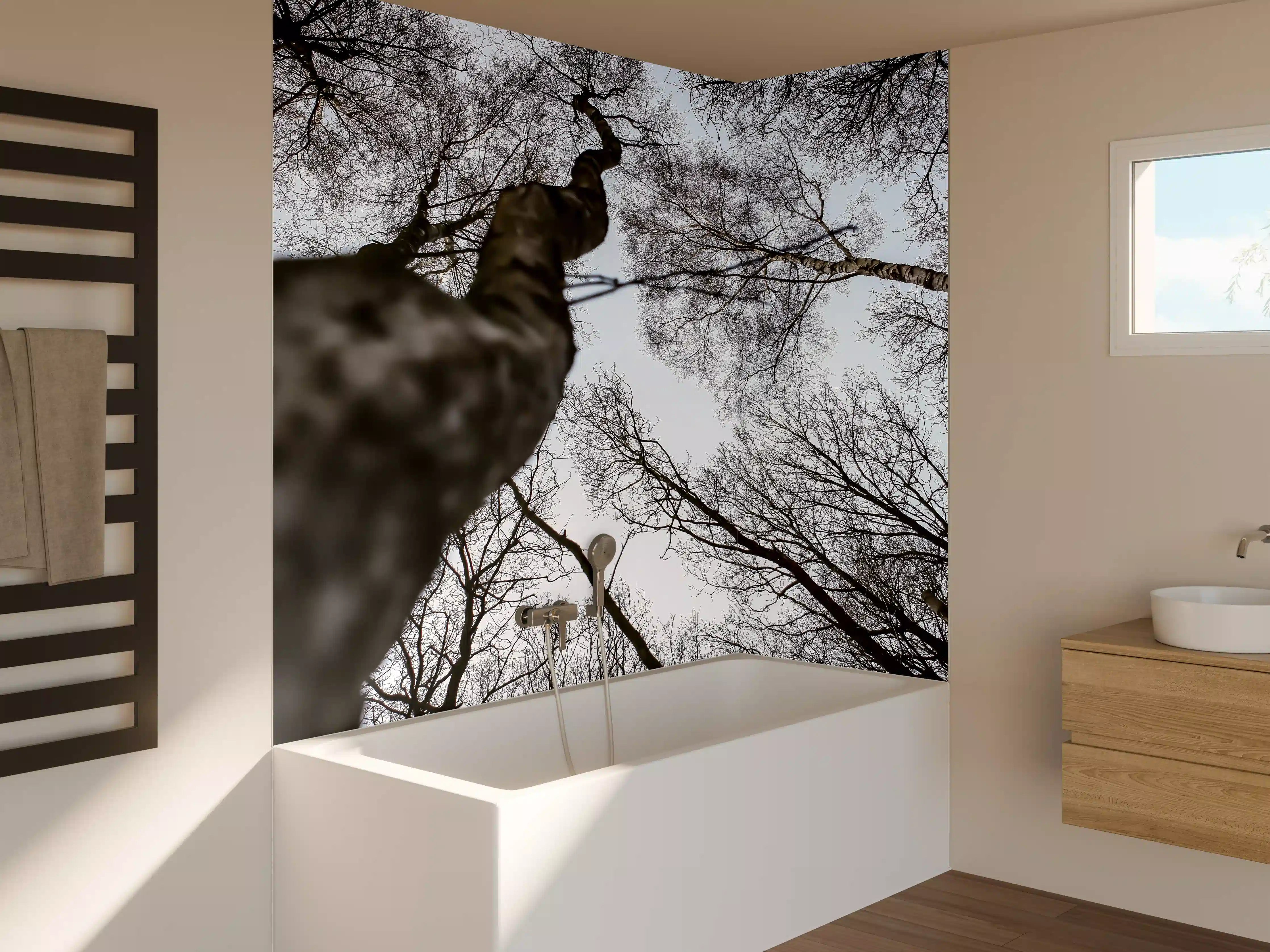 Badewannen-Rückwand - Birkenwald im WInter