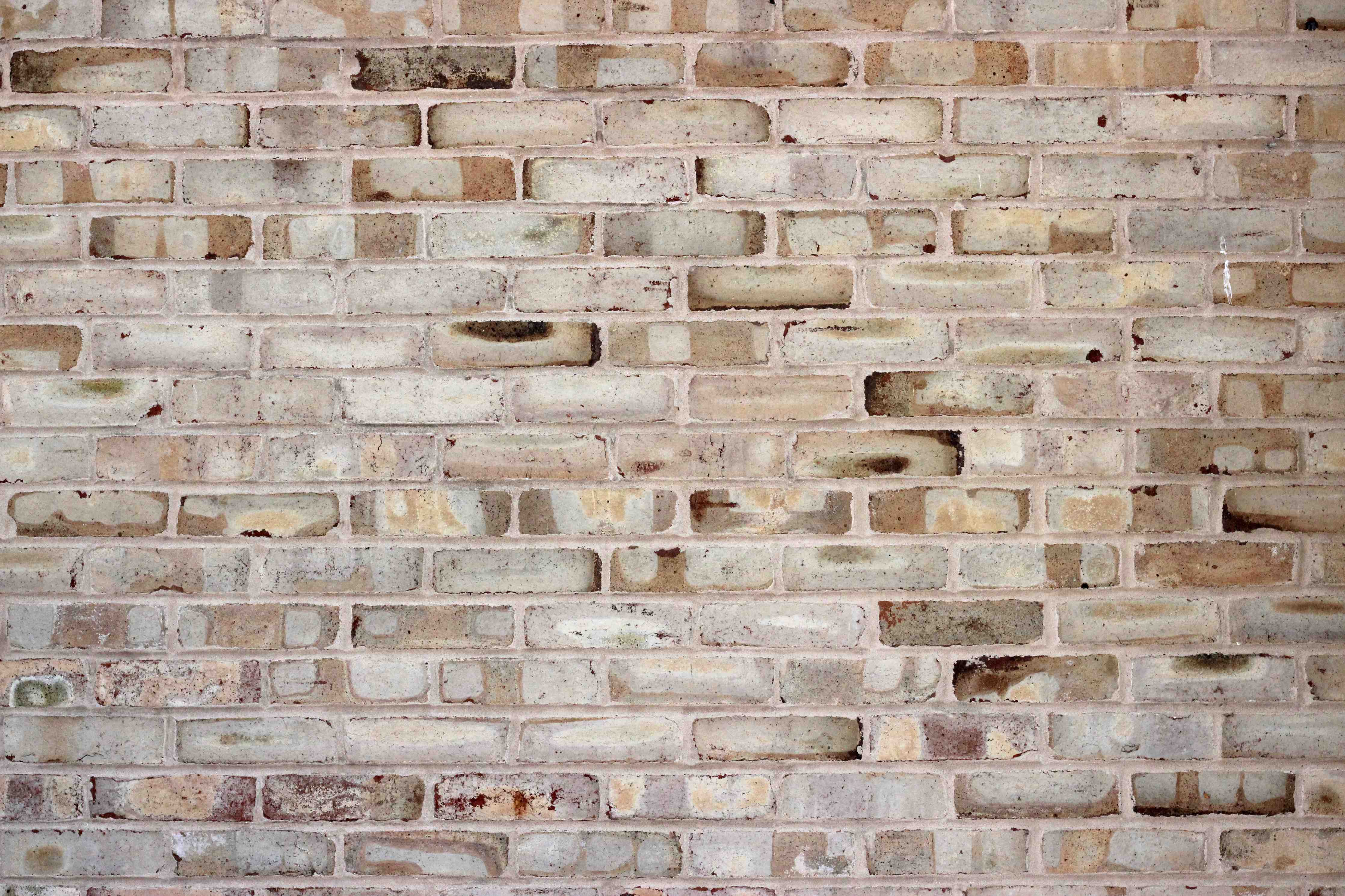 Badewannen-Rückwand-Braune verschimmelte Ziegelmauer