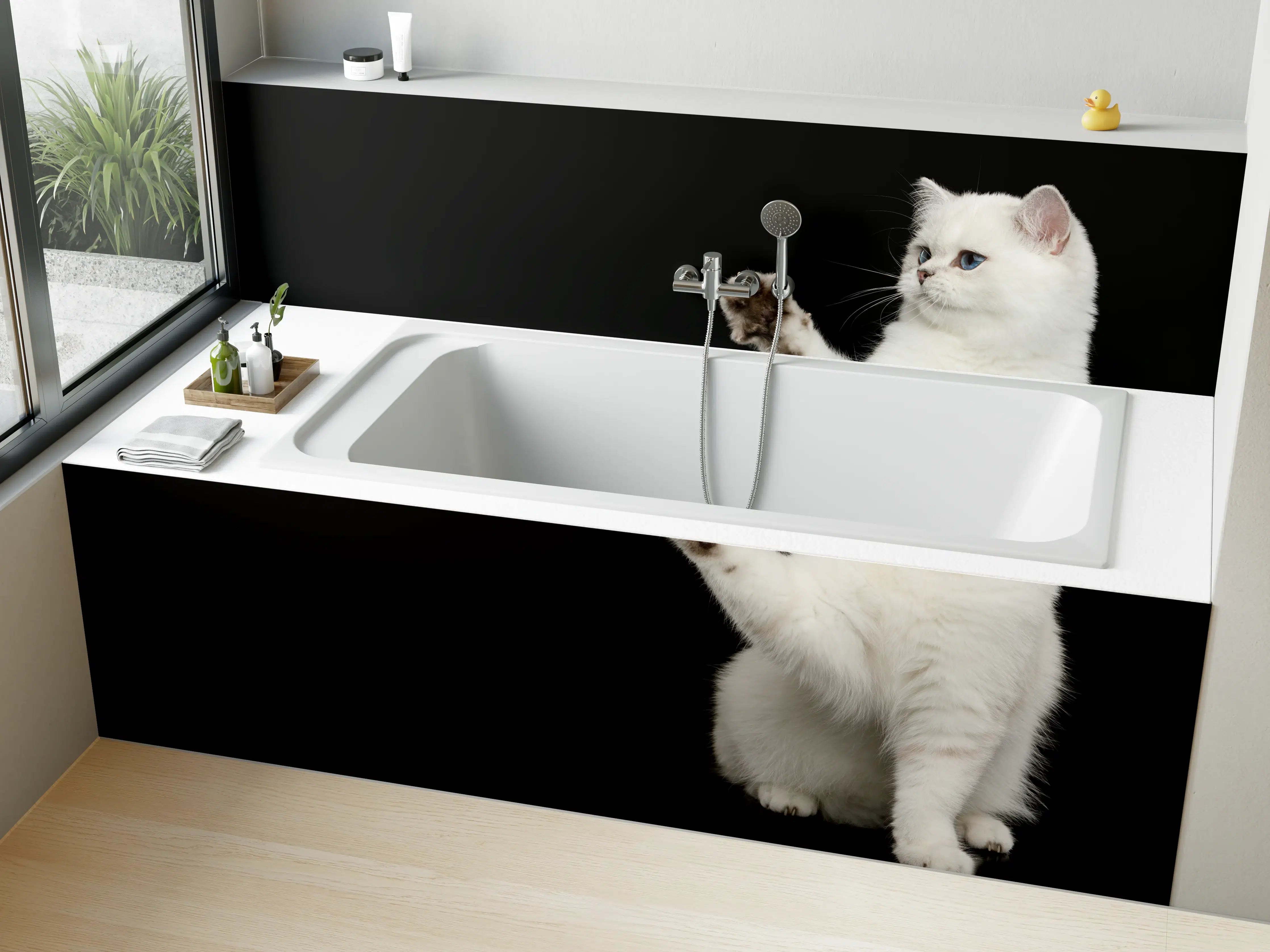 Badewannen-Rückwand - British weiße Katze