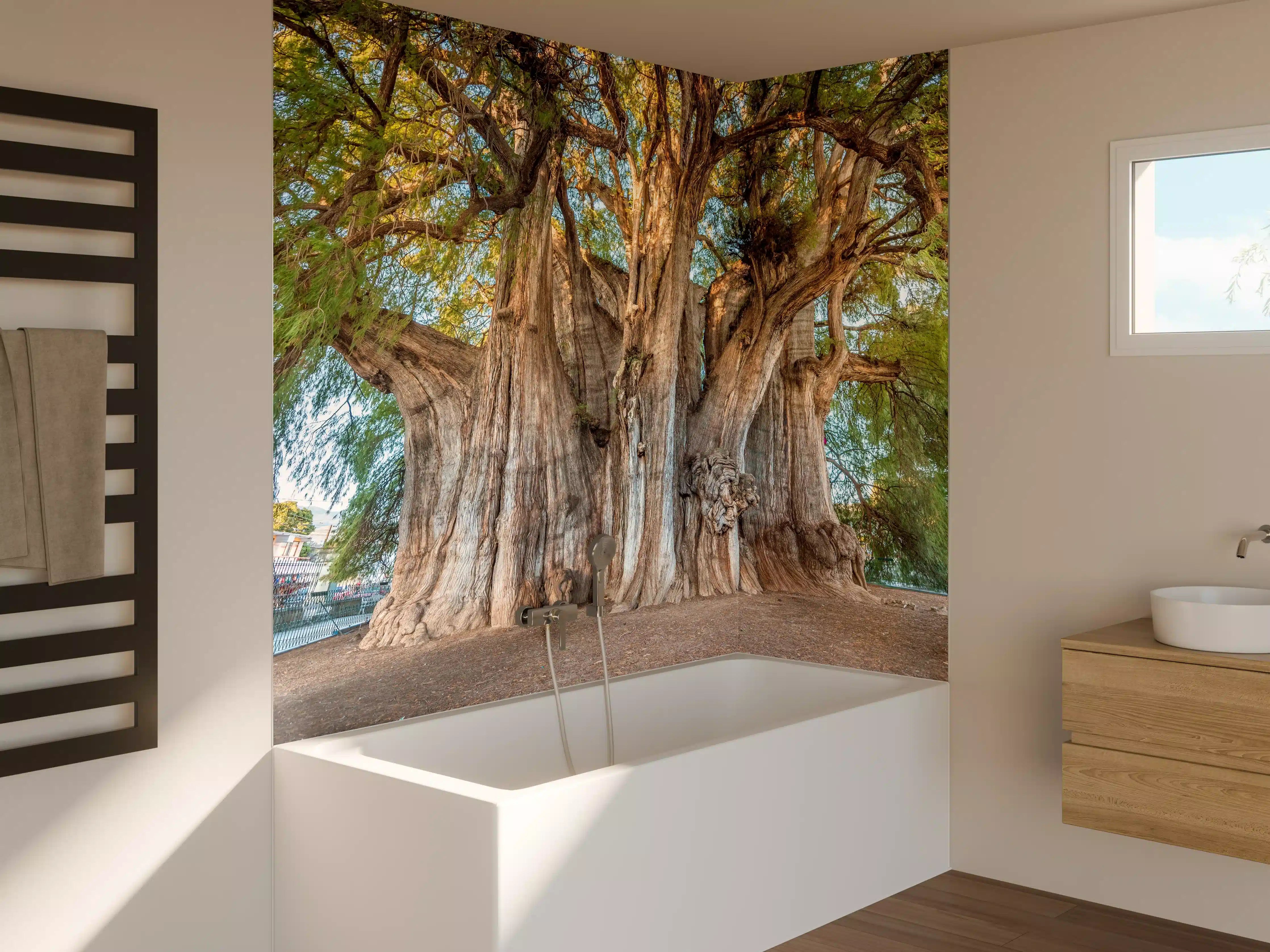 Badewannen-Rückwand - Der größte Baum der Welt - Mexico