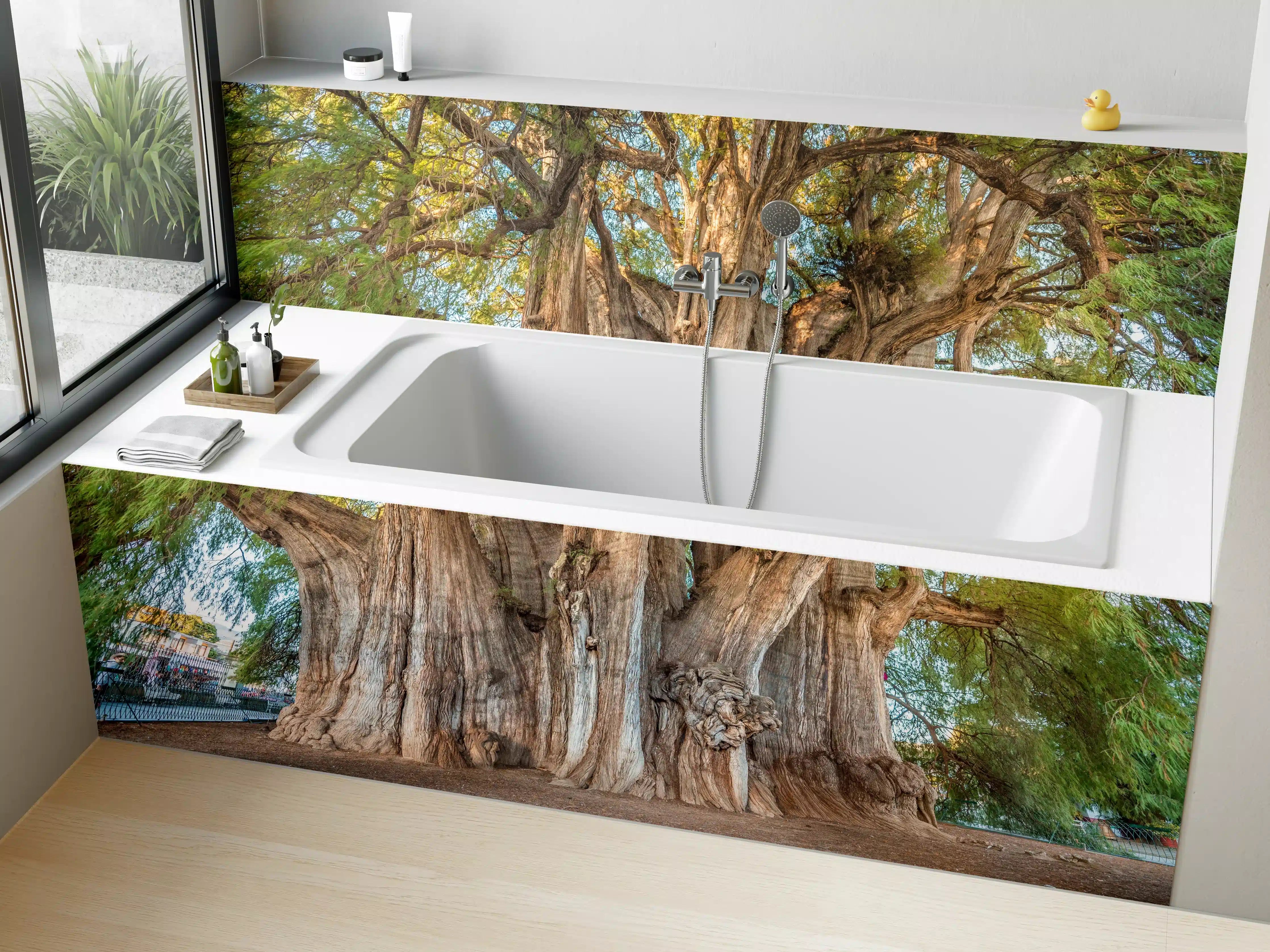 Badewannen-Rückwand - Der größte Baum der Welt - Mexico