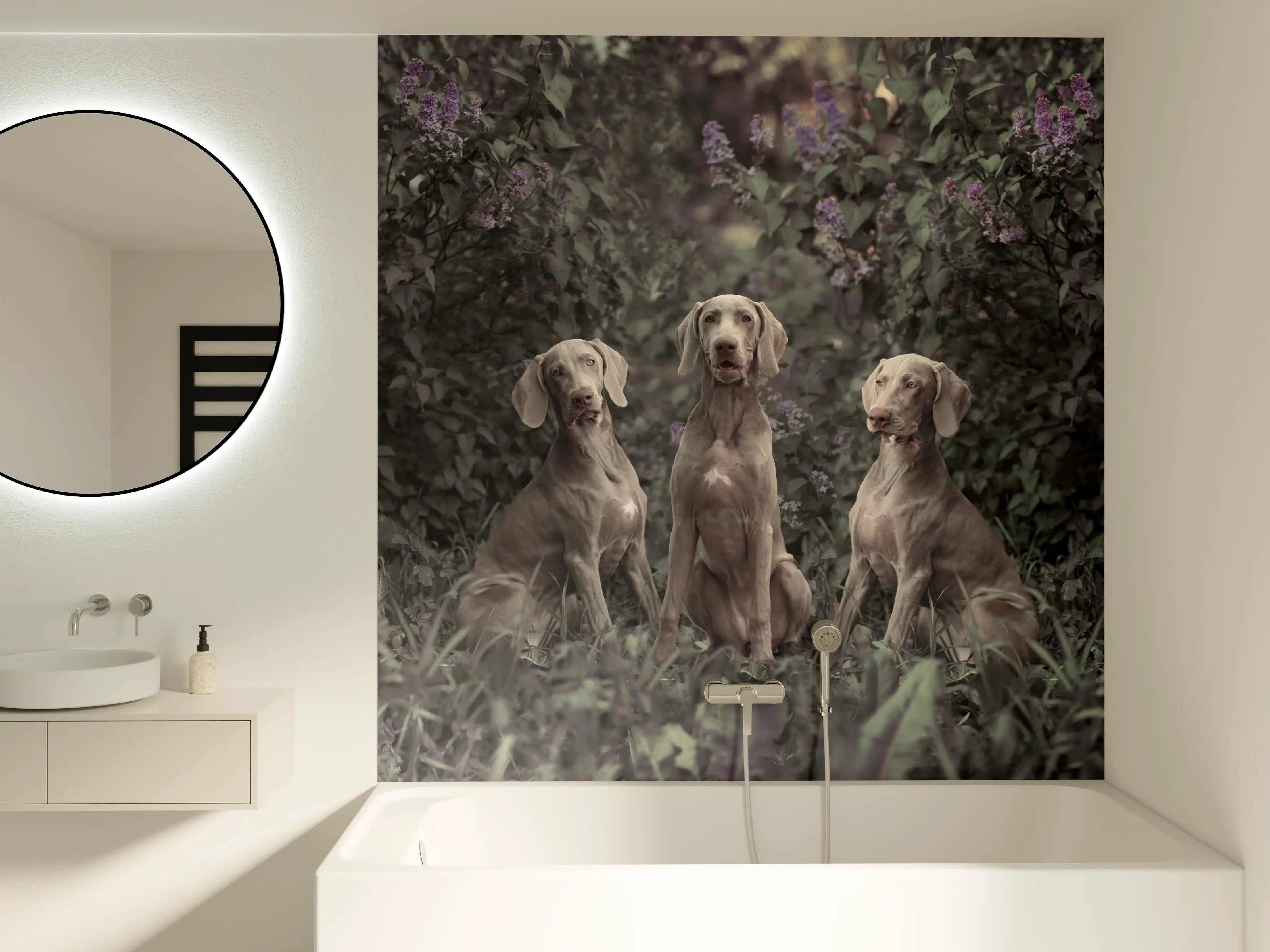 Badewannen-Rückwand - Drei Weimaranerhunde sitzend im Fliedergebüsch