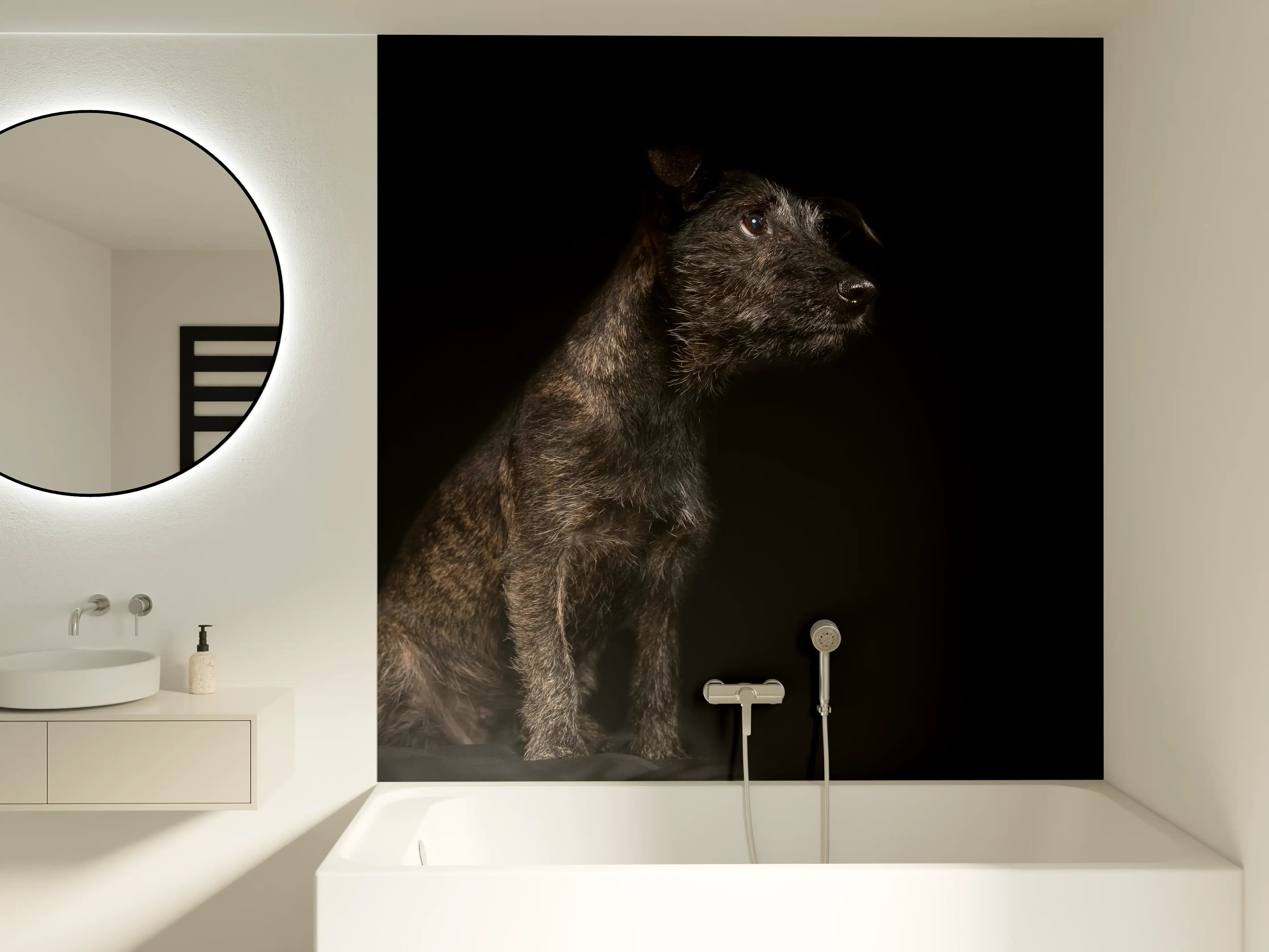 Badewannen-Rückwand - Dunkler Cairn Terrier Hund