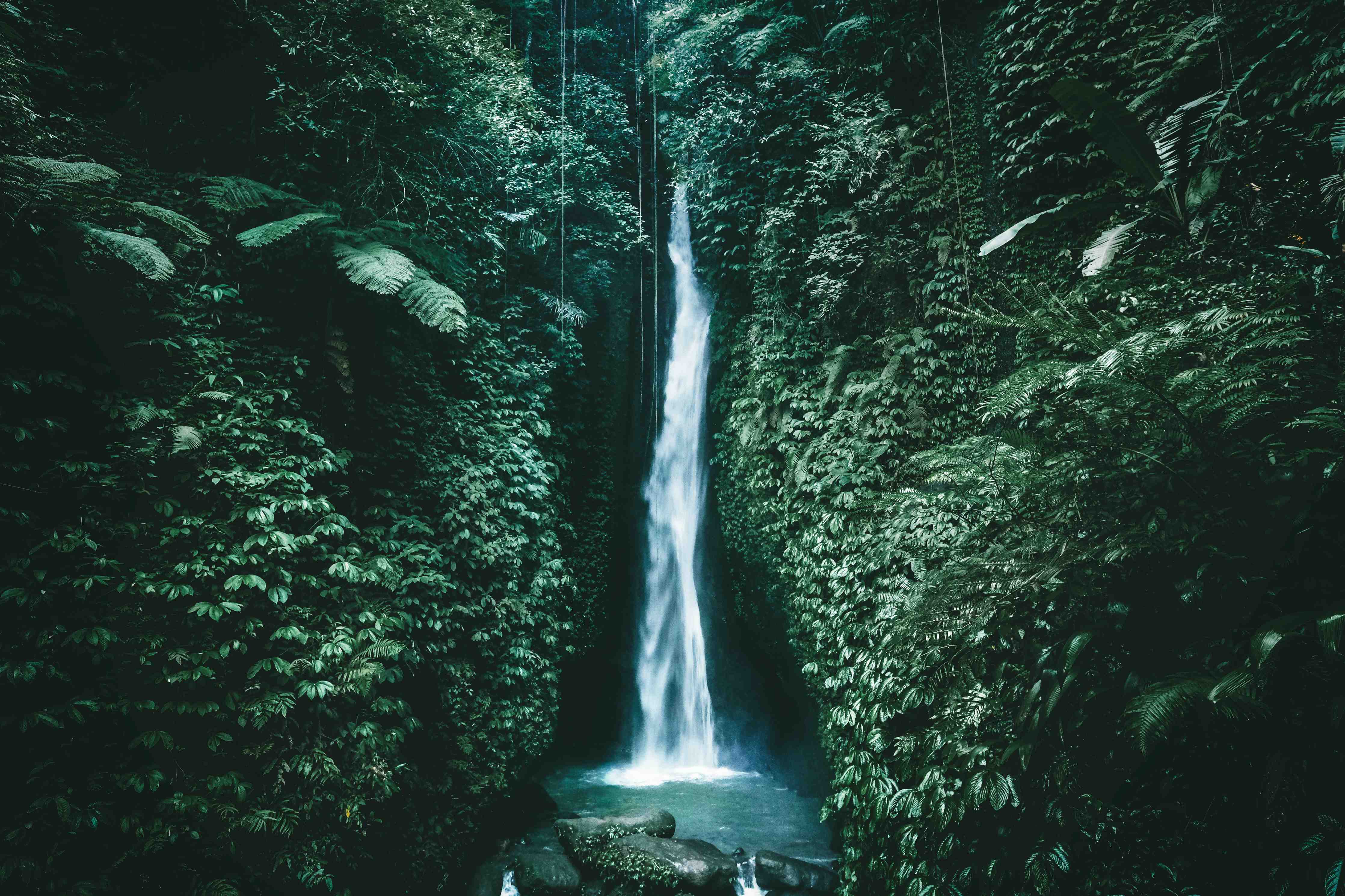 Badewannen-Rückwand-Erstaunlicher Wasserfall auf Bali