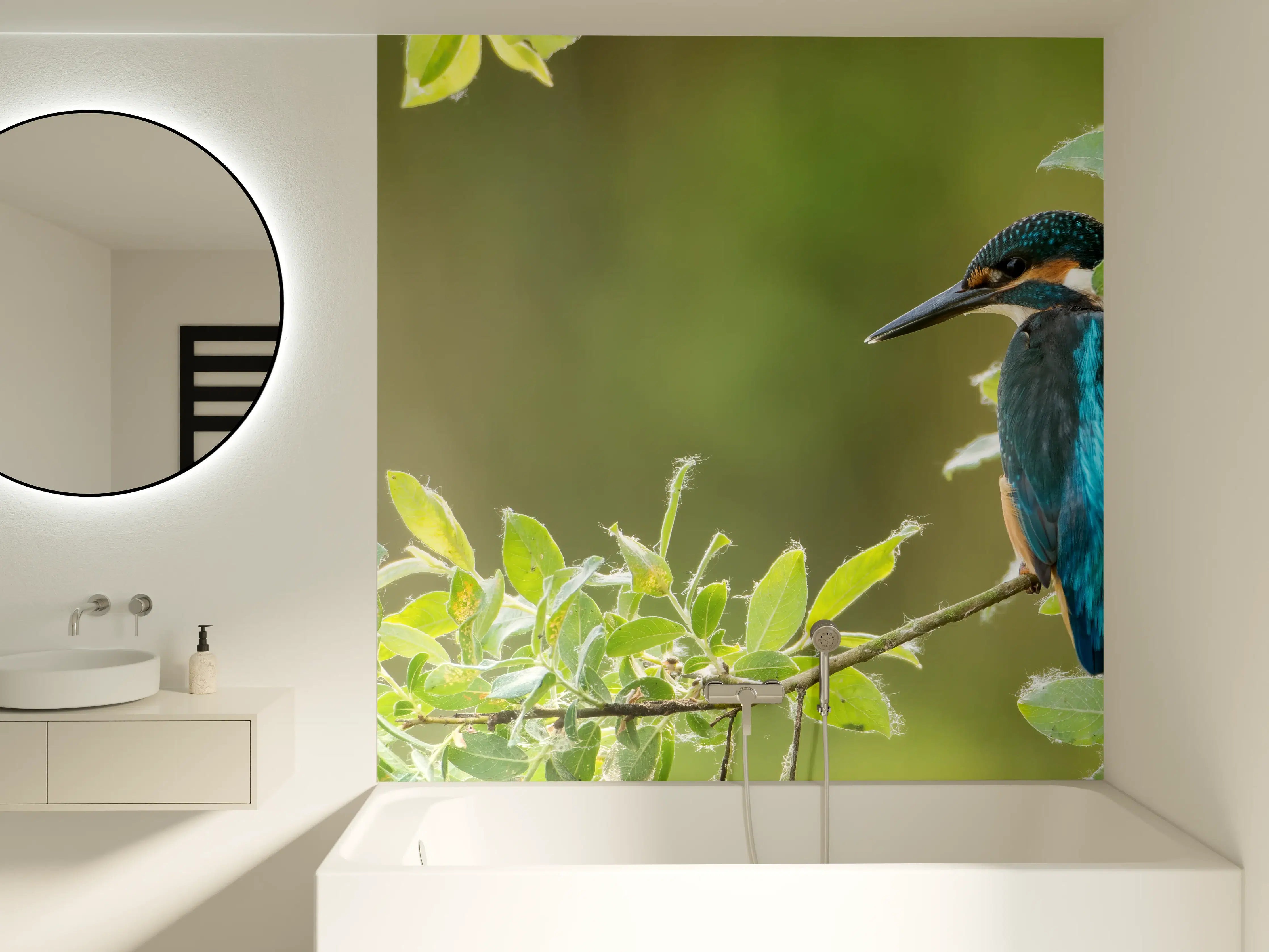 Badewannen-Rückwand - Exotischer friedlicher Eisvogel