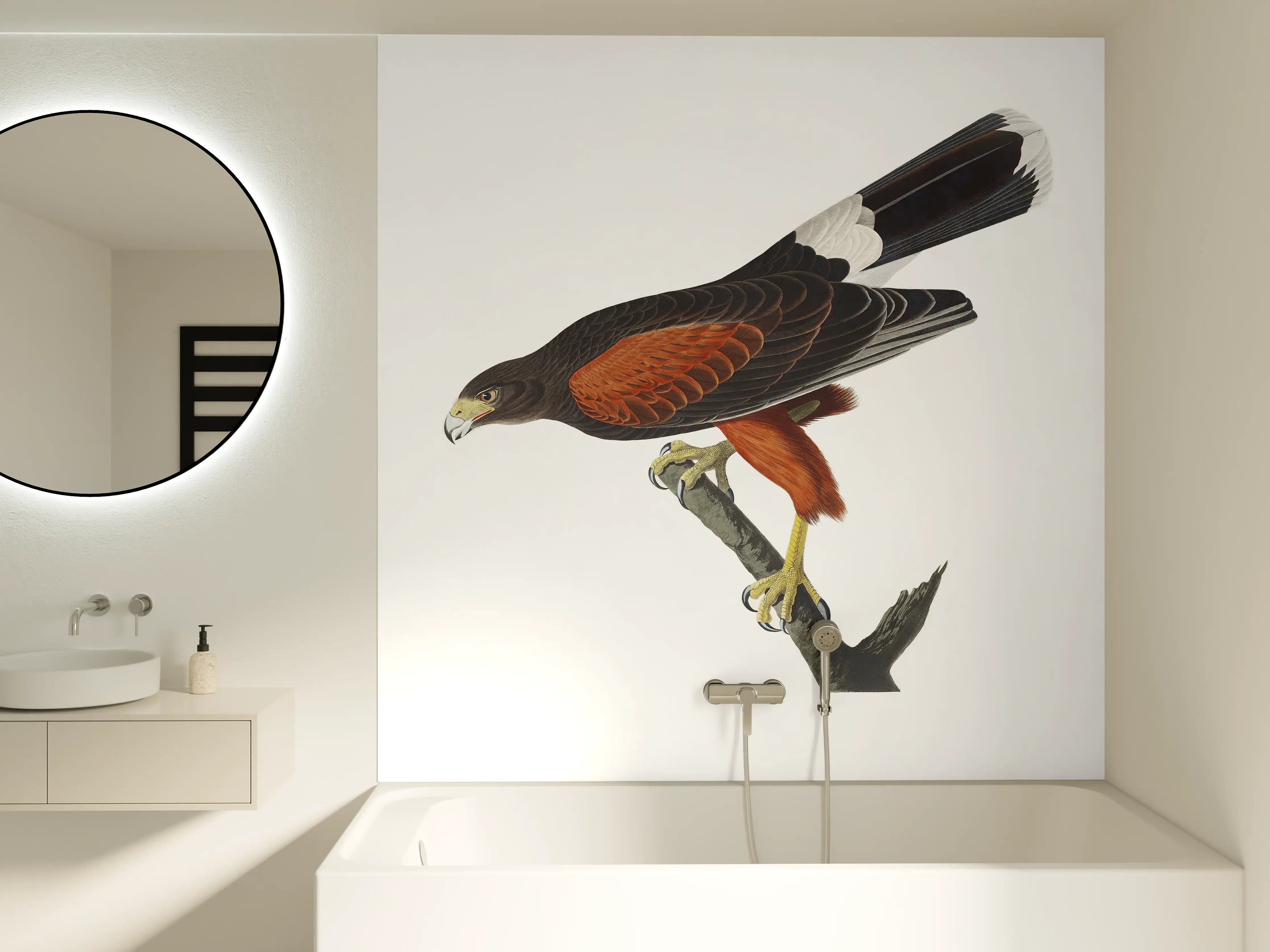 Badewannen-Rückwand - Falken Portrait - John James Audubon