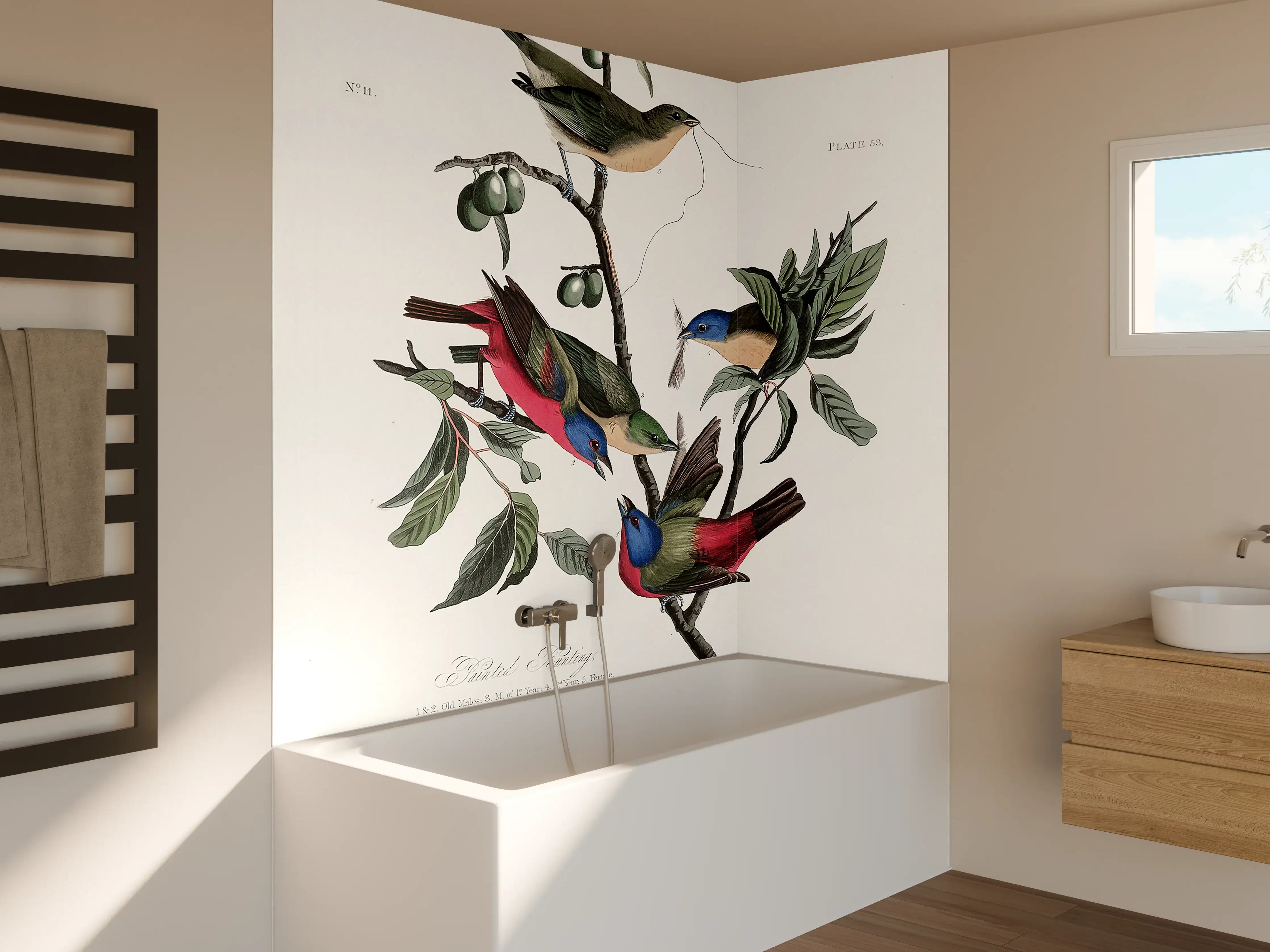 Badewannen-Rückwand - Fink Portrait - John James Audubon