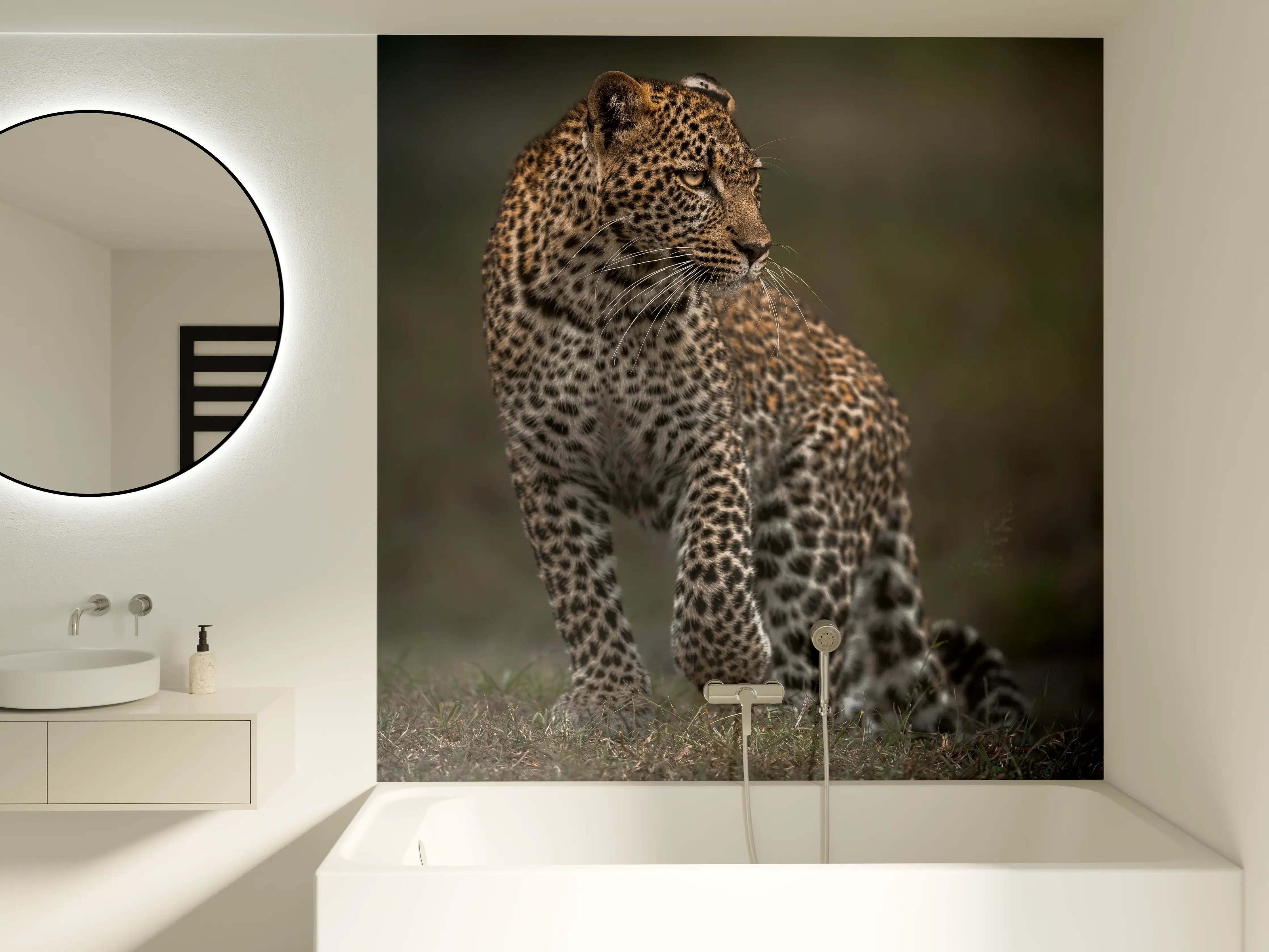 Badewannen-Rückwand - Fokussierter Leopard - Savanne