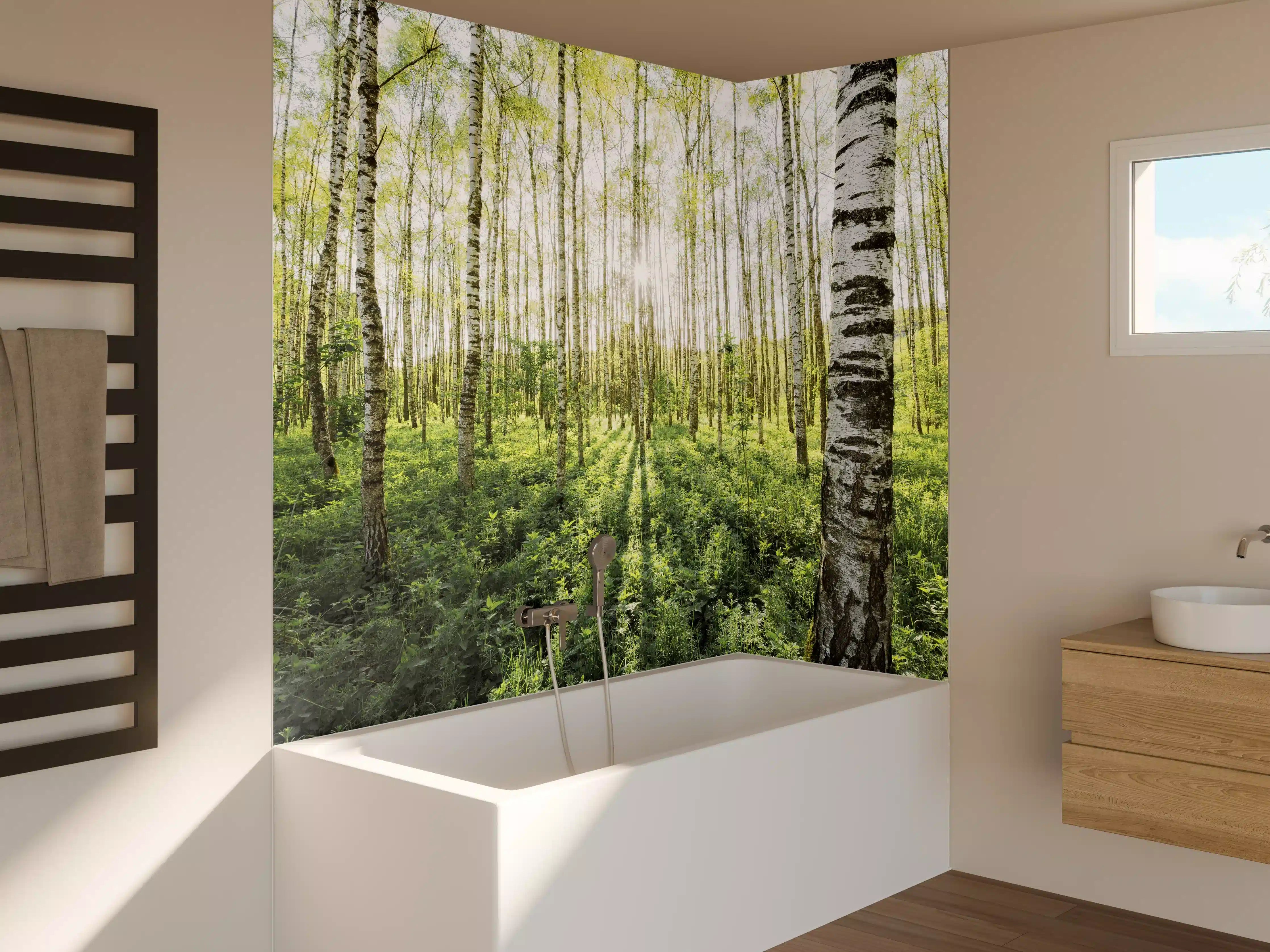 Badewannen-Rückwand - Frühlings-Birkenwald Lichtspiel