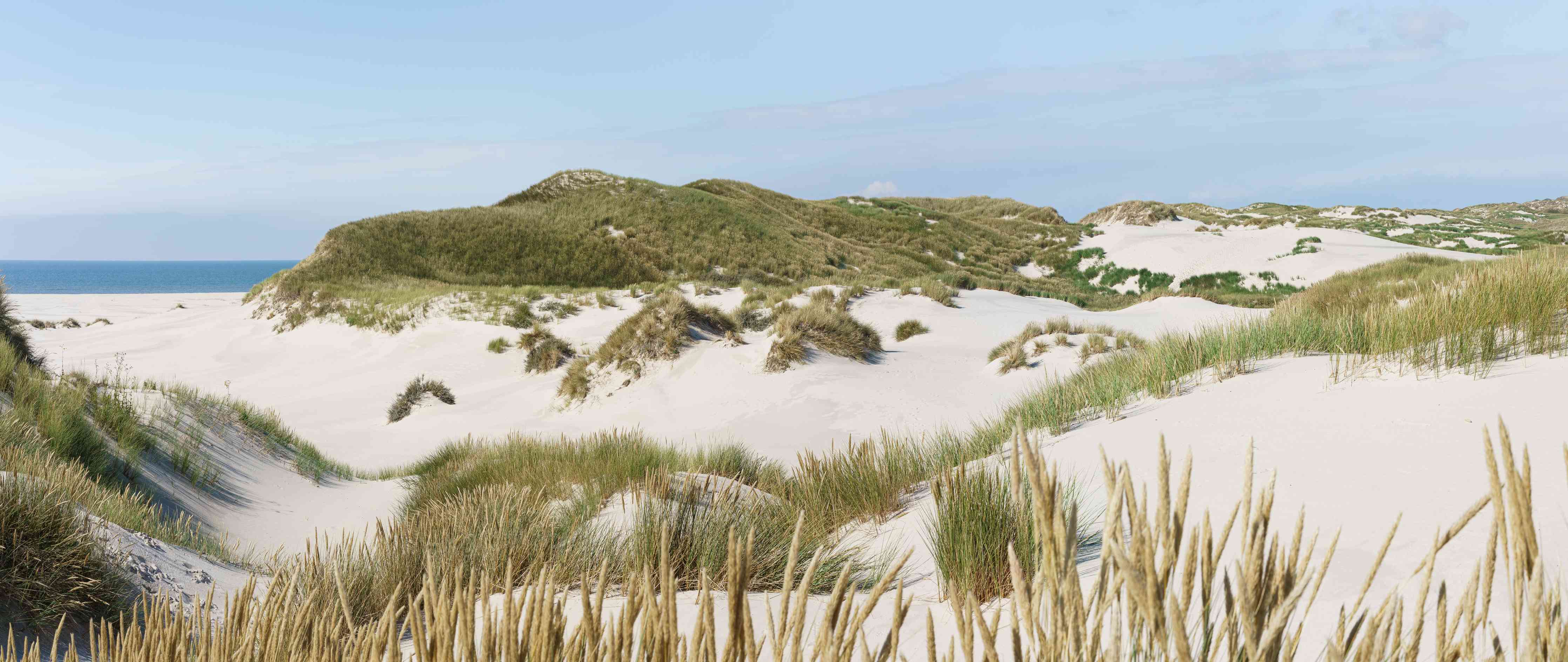 Badewannen-Rückwand-Graue Dünen am weißen Strand