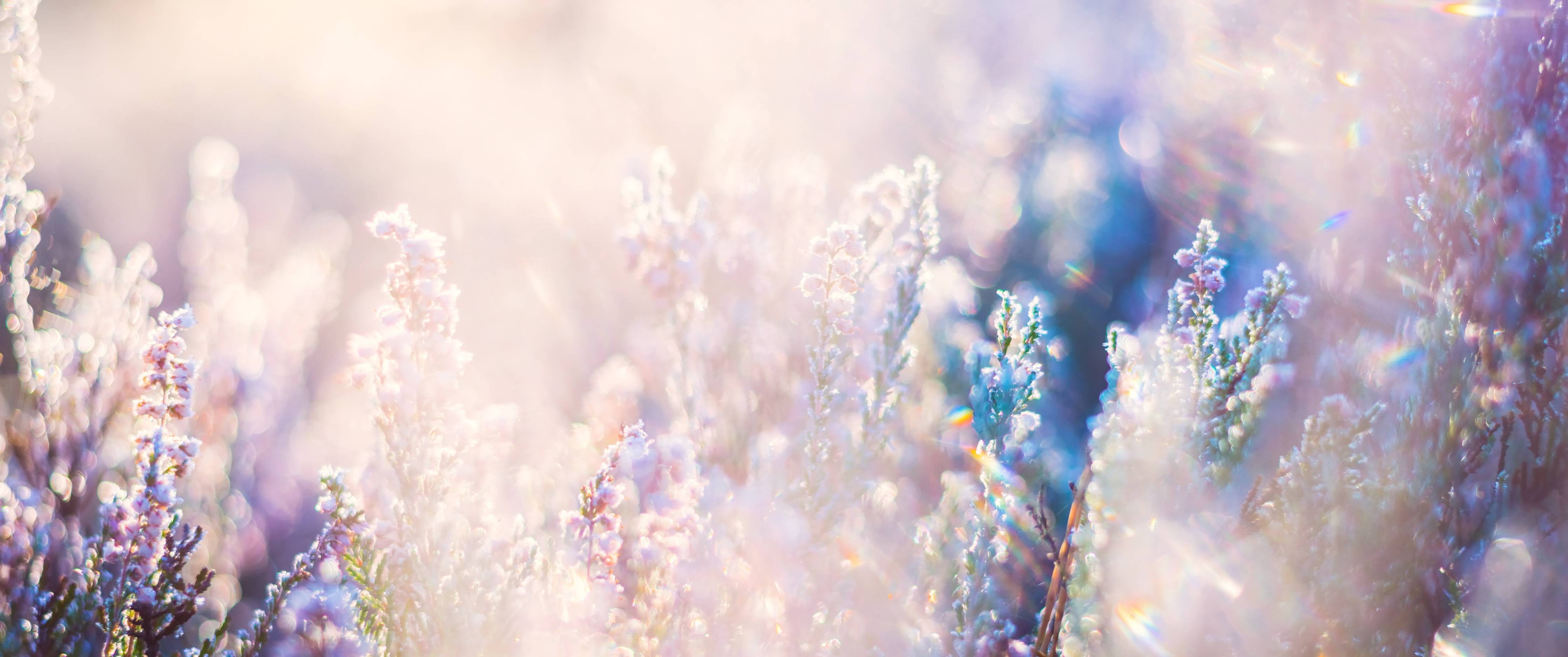 Badewannen-Rückwand-Himmelblauer Himmel mit zarten Blumen im Sonnenschein