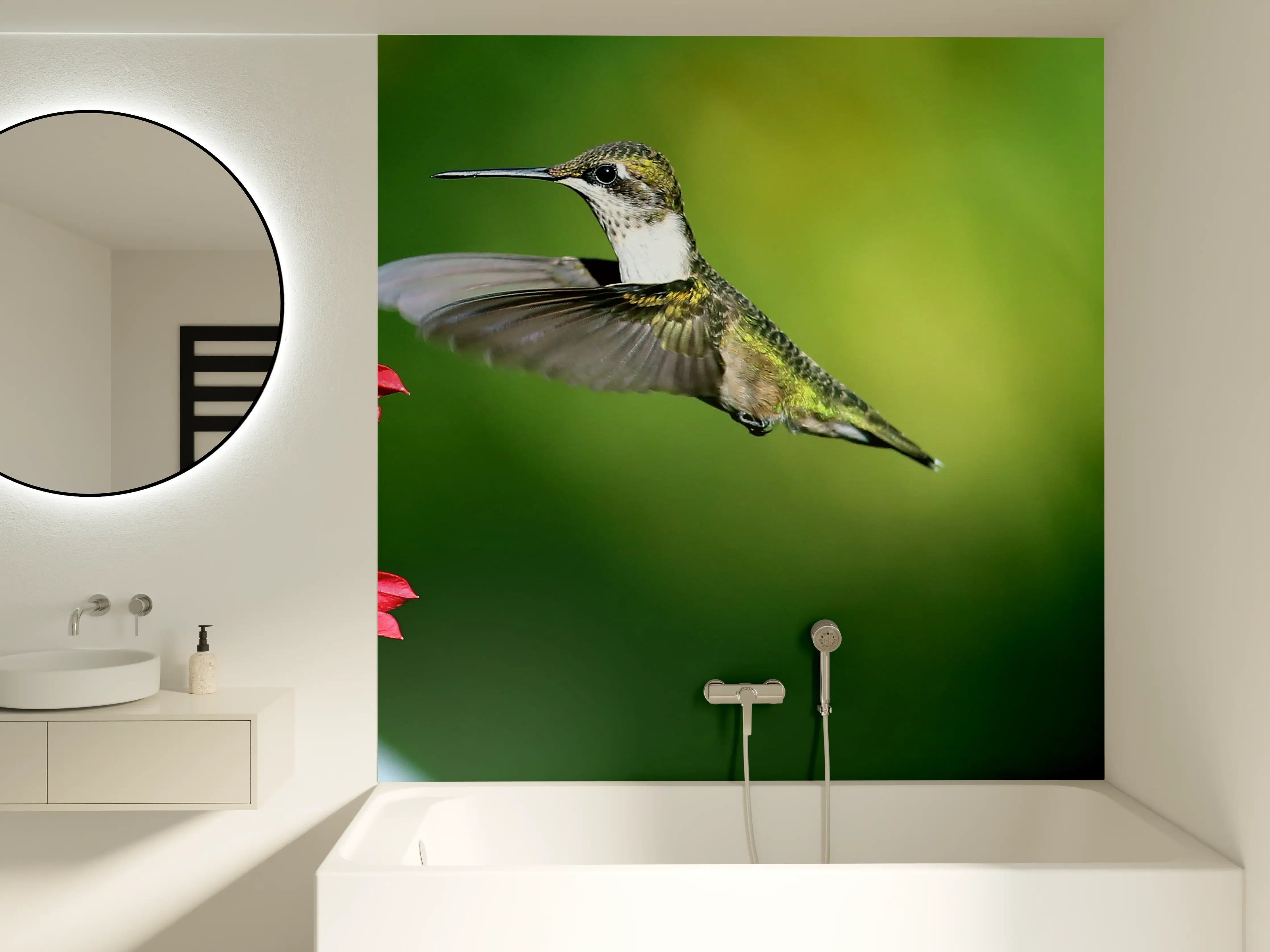 Badewannen-Rückwand - Kolibri-Weibchen im Flug