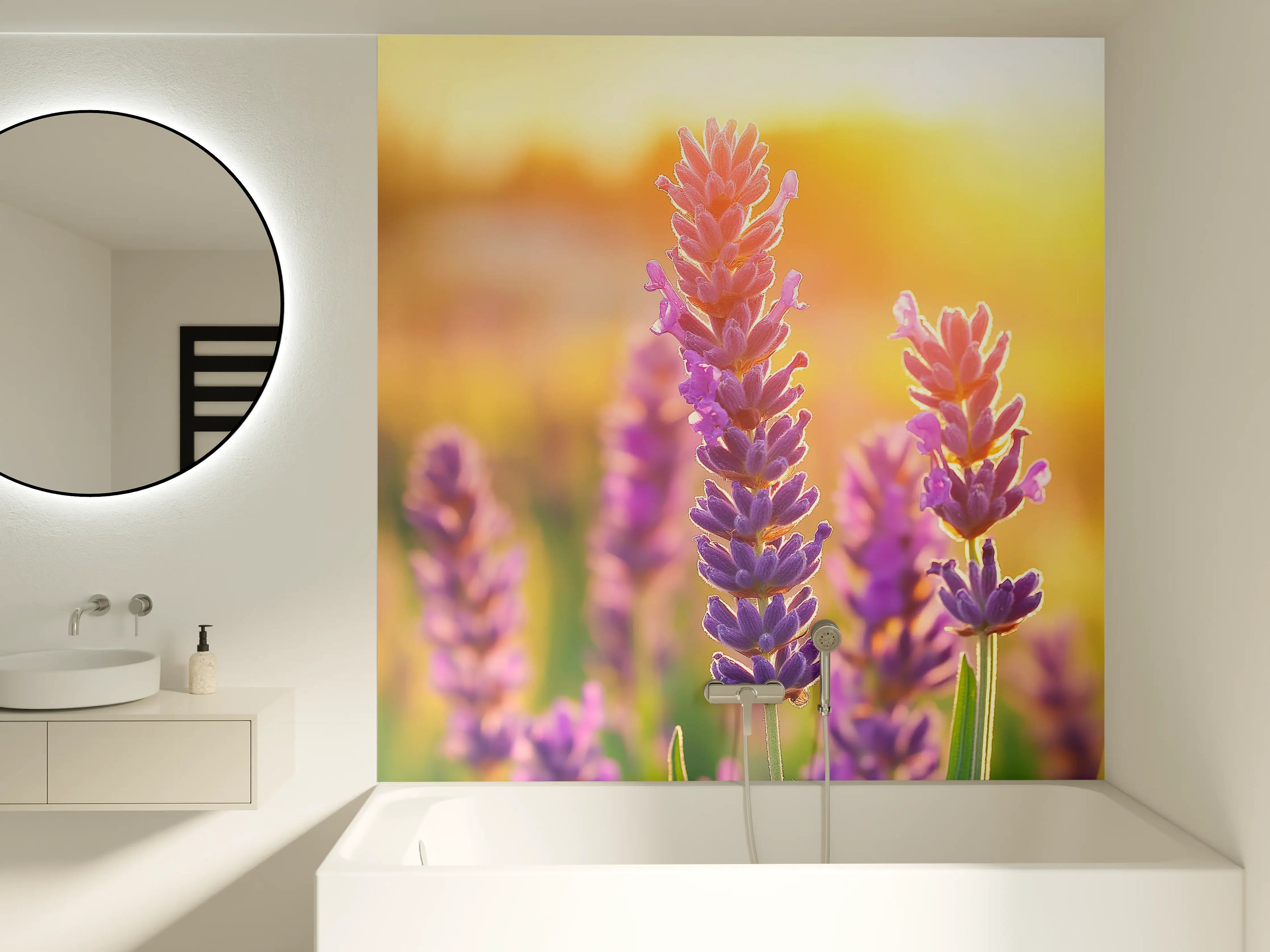 Badewannen-Rückwand - Lavendel in goldenem Abendlicht