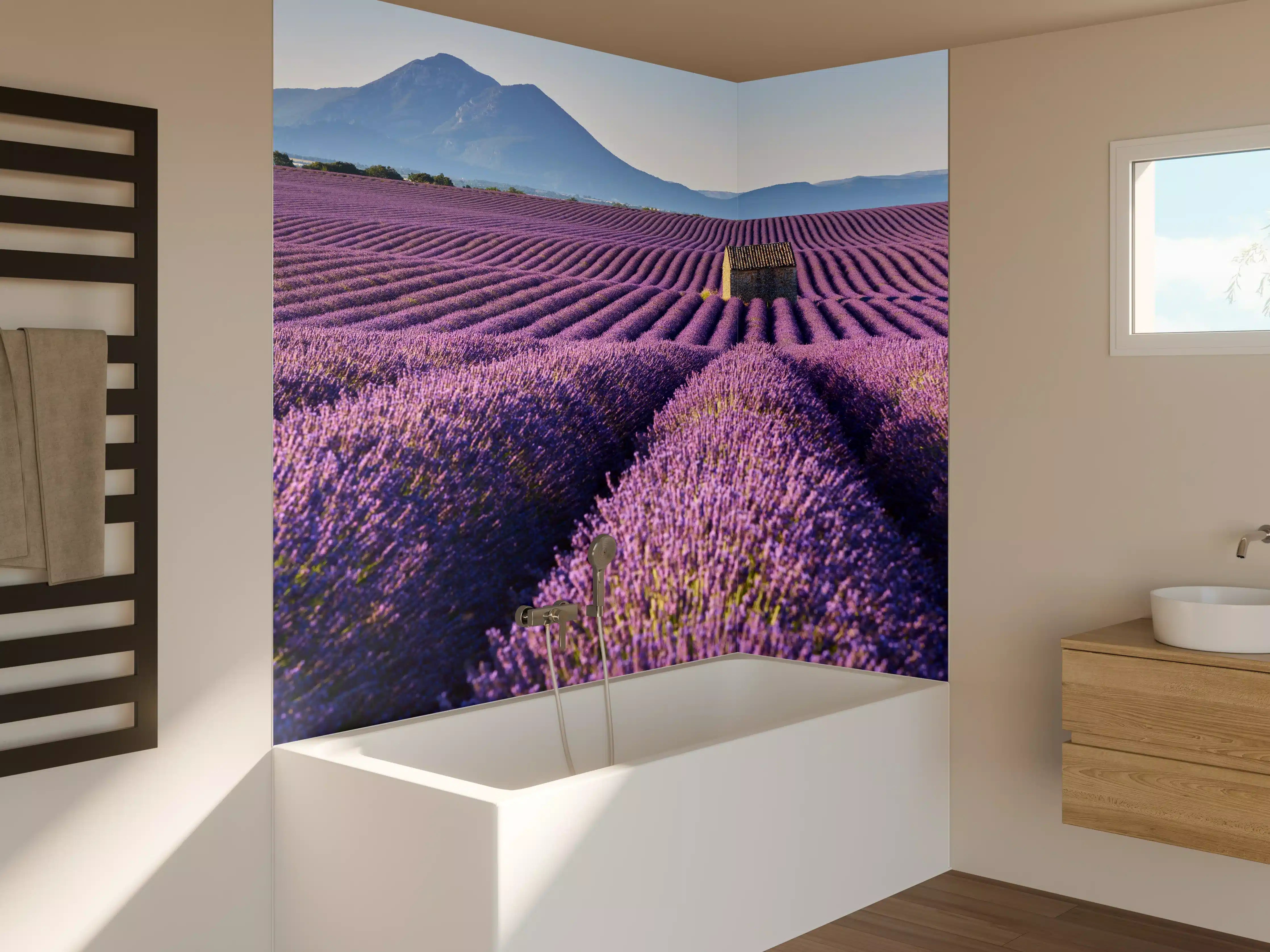 Badewannen-Rückwand - Lavendelfelder auf dem Plateau de Valensole