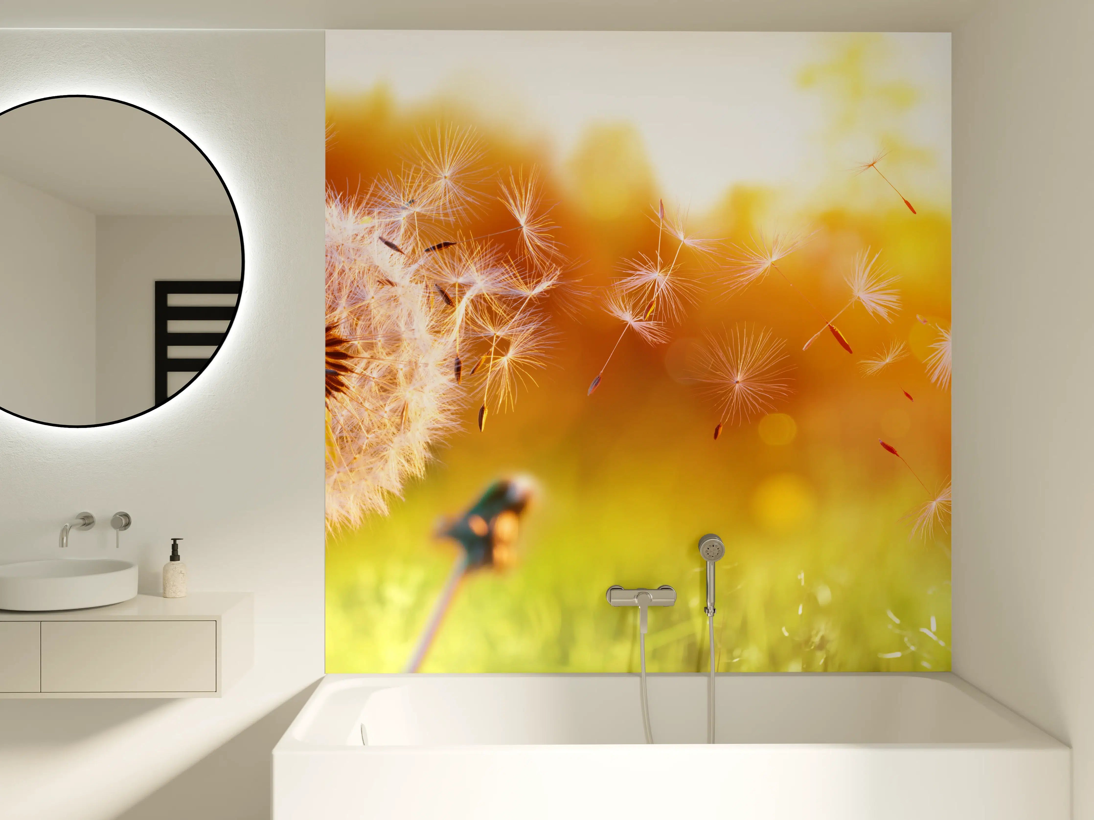 Badewannen-Rückwand - Löwenzahn im Feld bei Sonnenuntergang