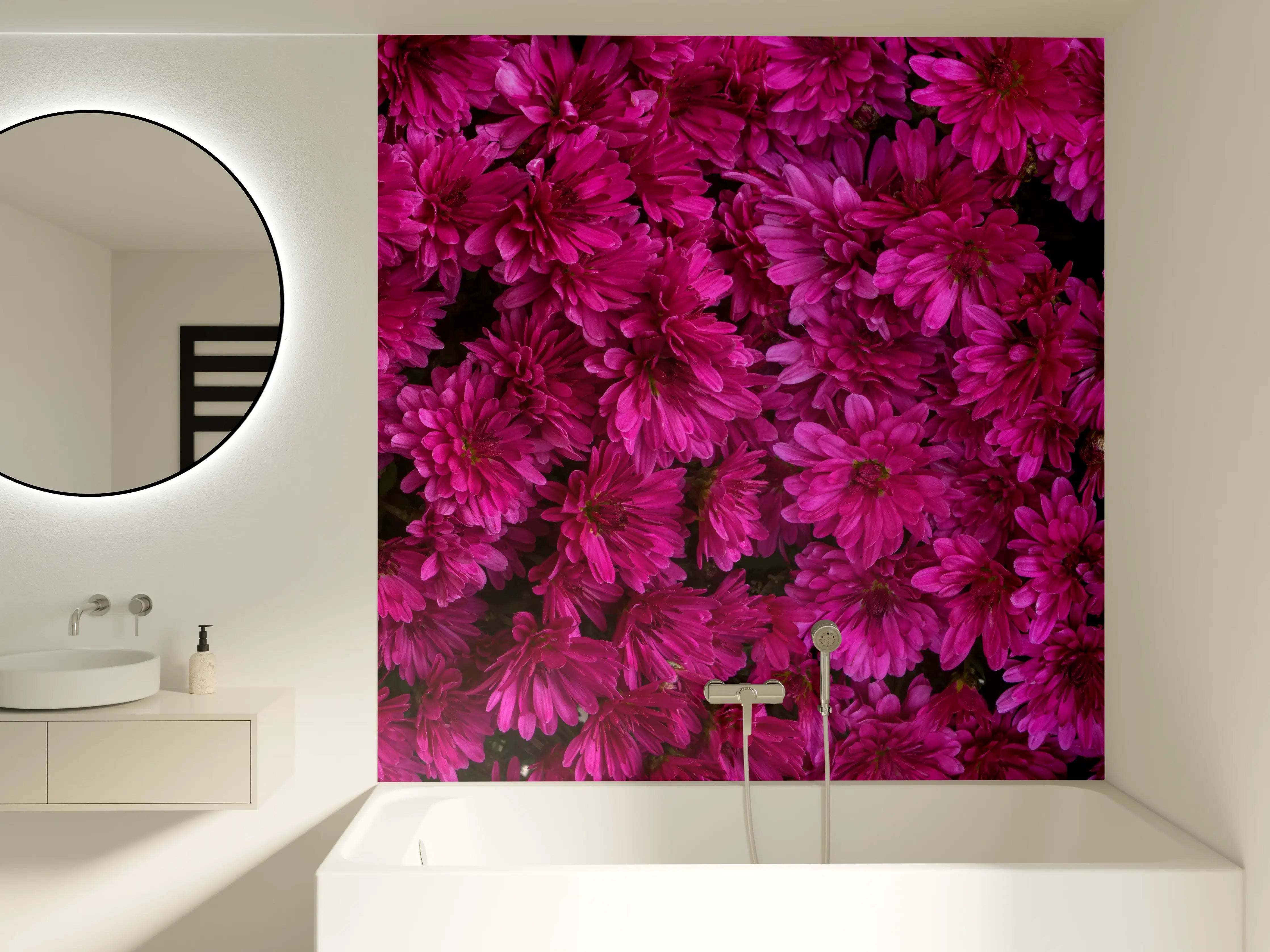 Badewannen-Rückwand - Magenta Blüten von Chrysanthemen