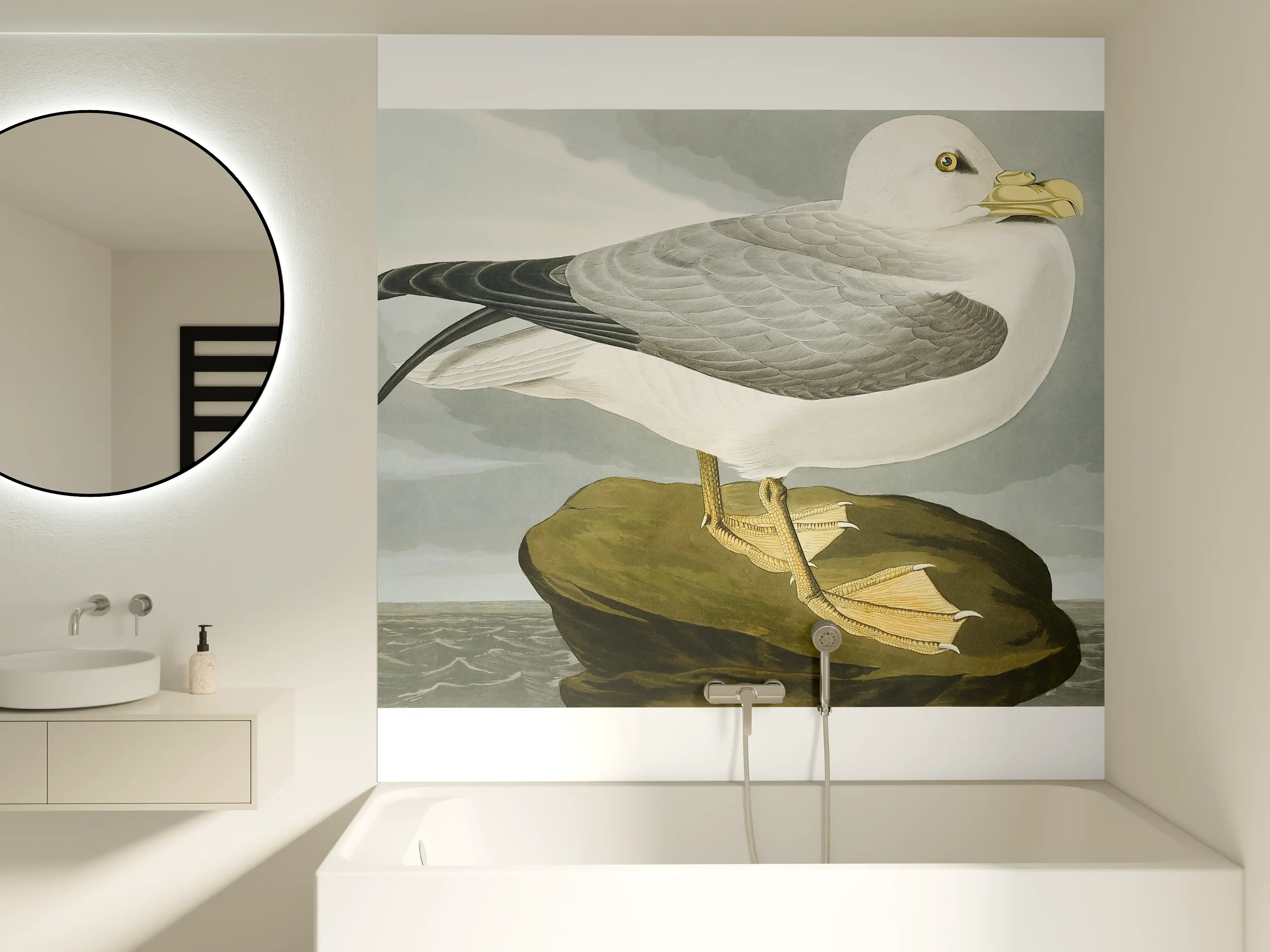 Badewannen-Rückwand - Möwe im Meer - Robert Havell
