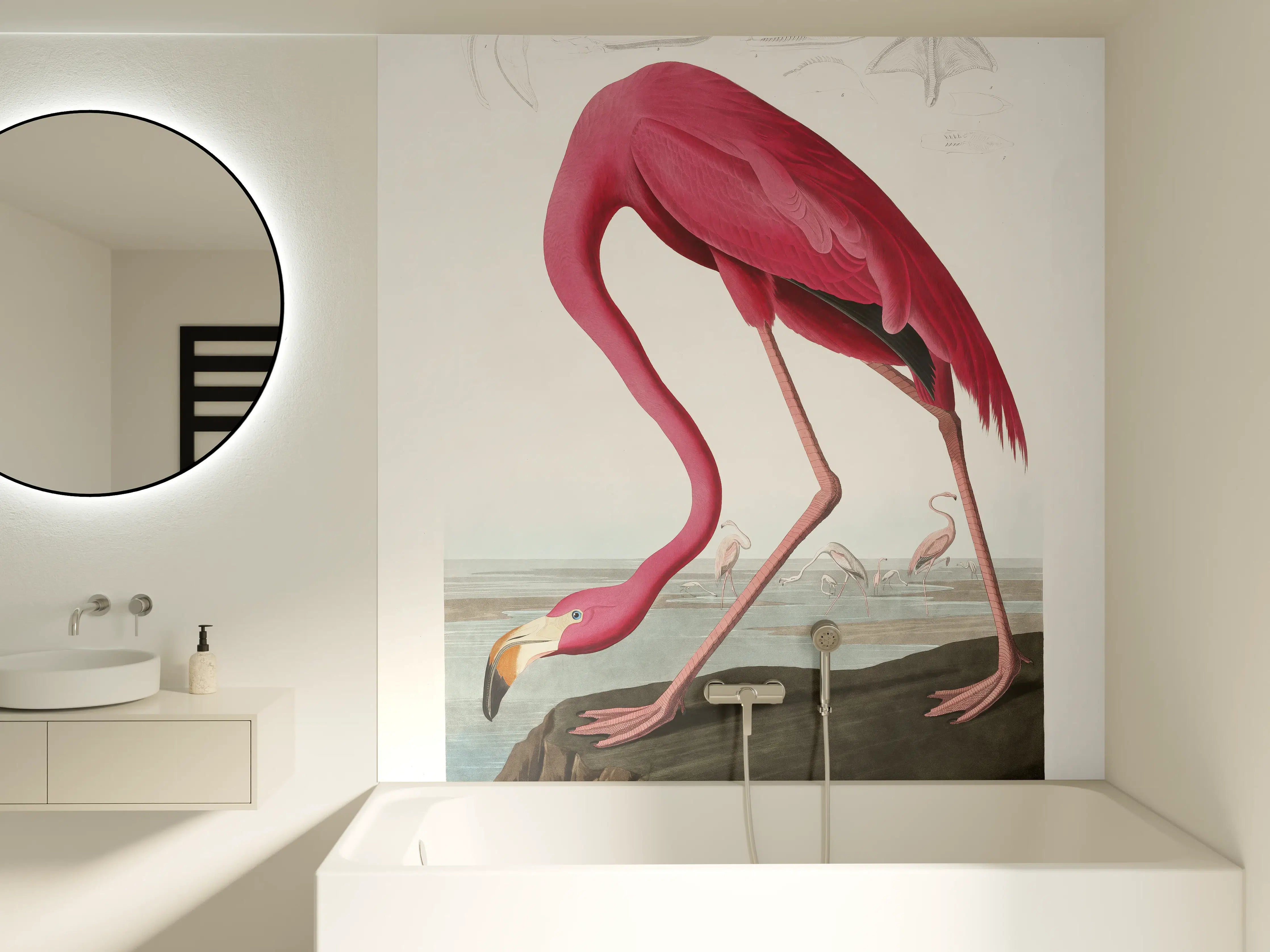 Badewannen-Rückwand - Pinker Flamingo - John James Audubon