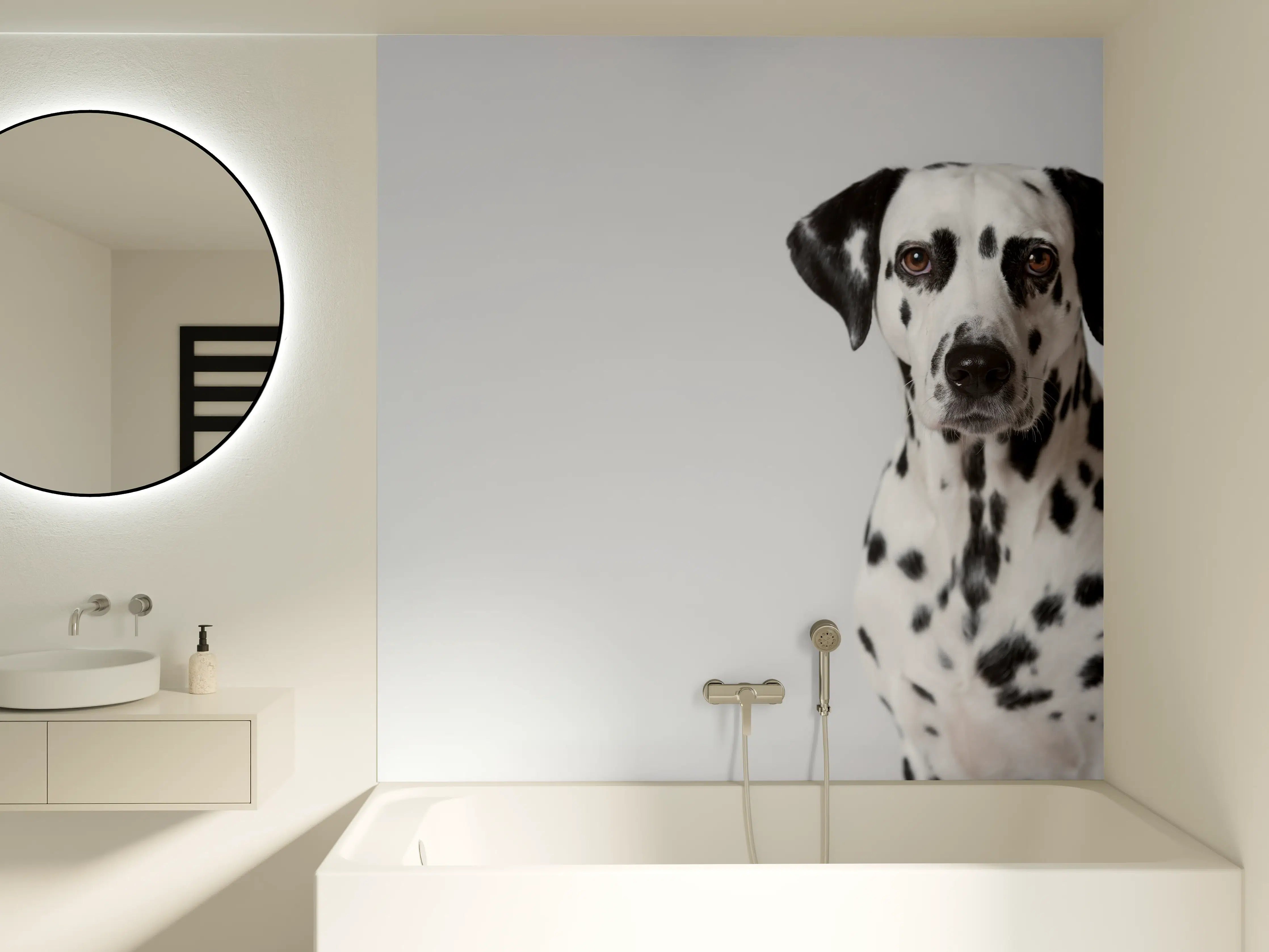 Badewannen-Rückwand - Portrait eines Dalmatiners auf weißem Hintergrund