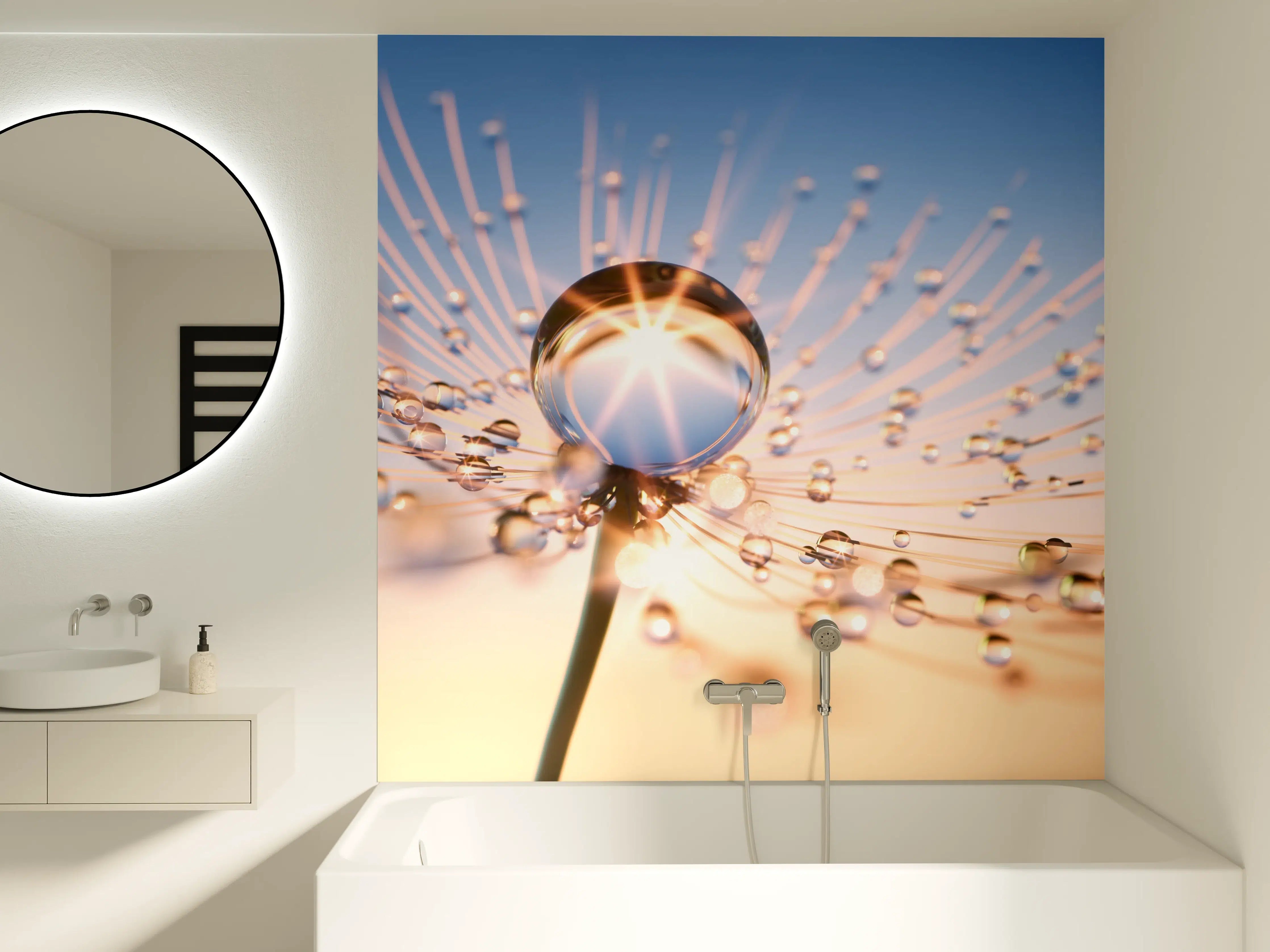 Badewannen-Rückwand - Pusteblume in Nahaufnahme mit Tautropfen