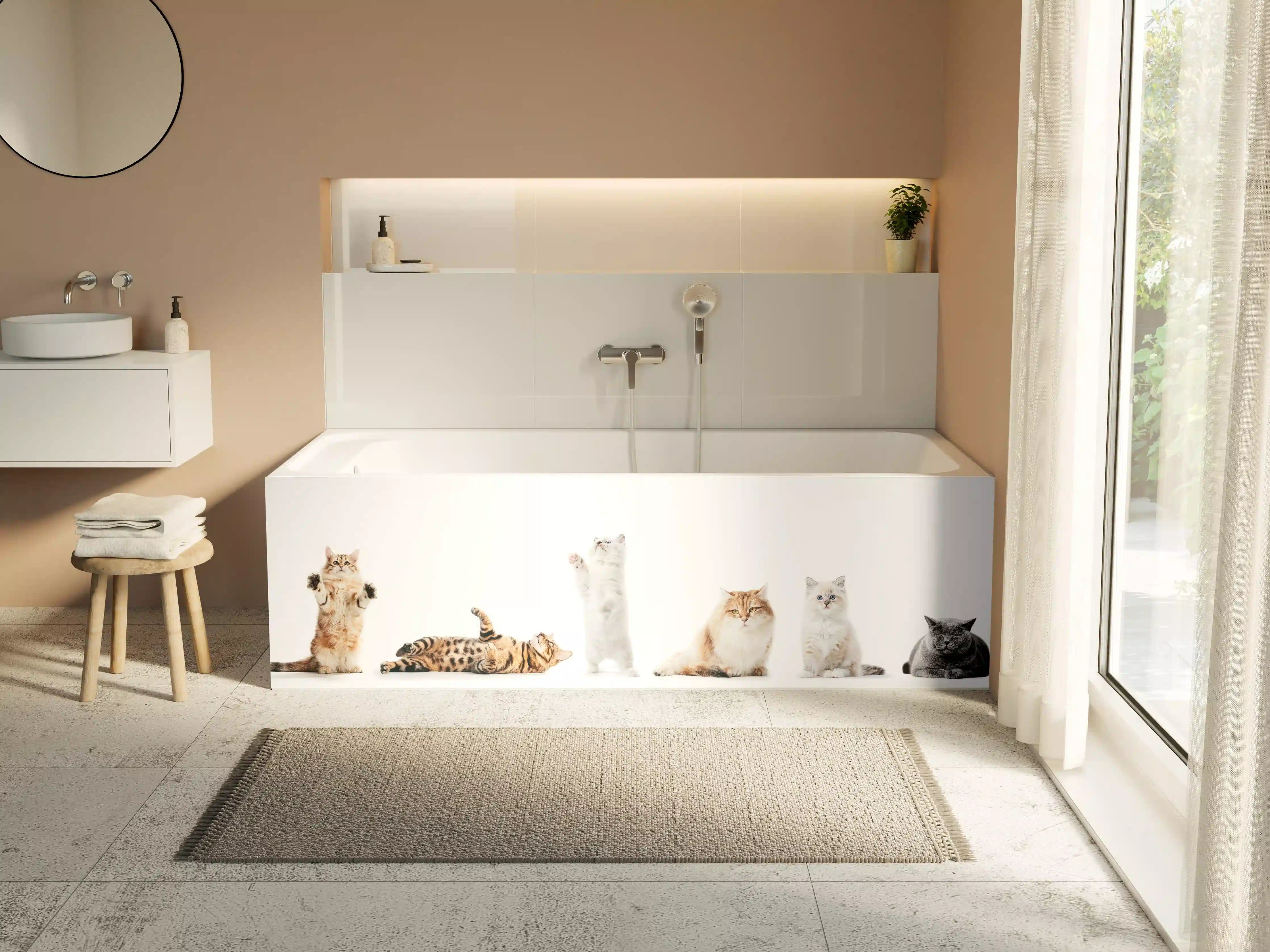 Badewannen-Rückwand - Reinrassige Katzen Weiß-Sammlung