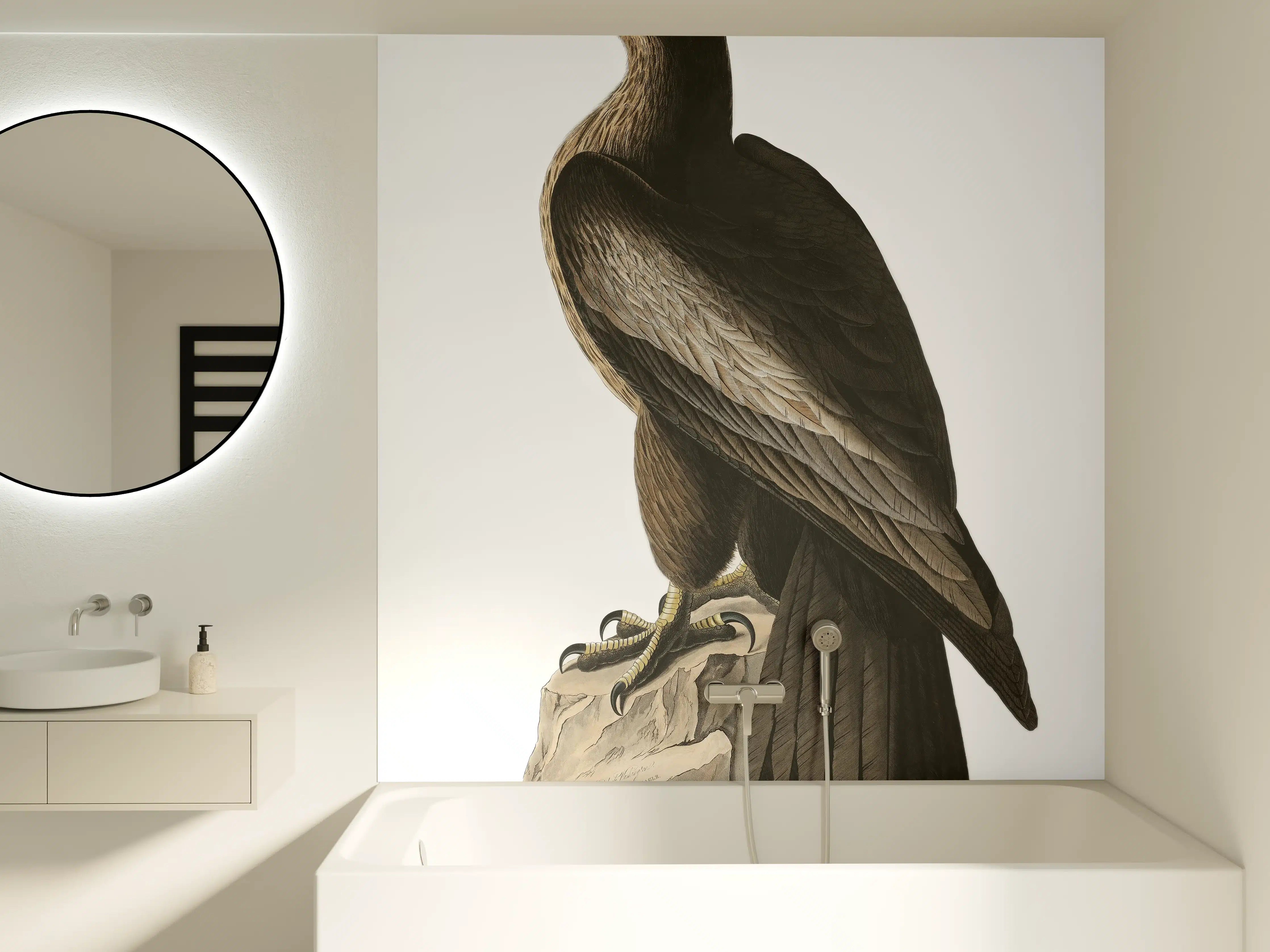 Badewannen-Rückwand - Riesenseeadler Portrait - John James Audubon