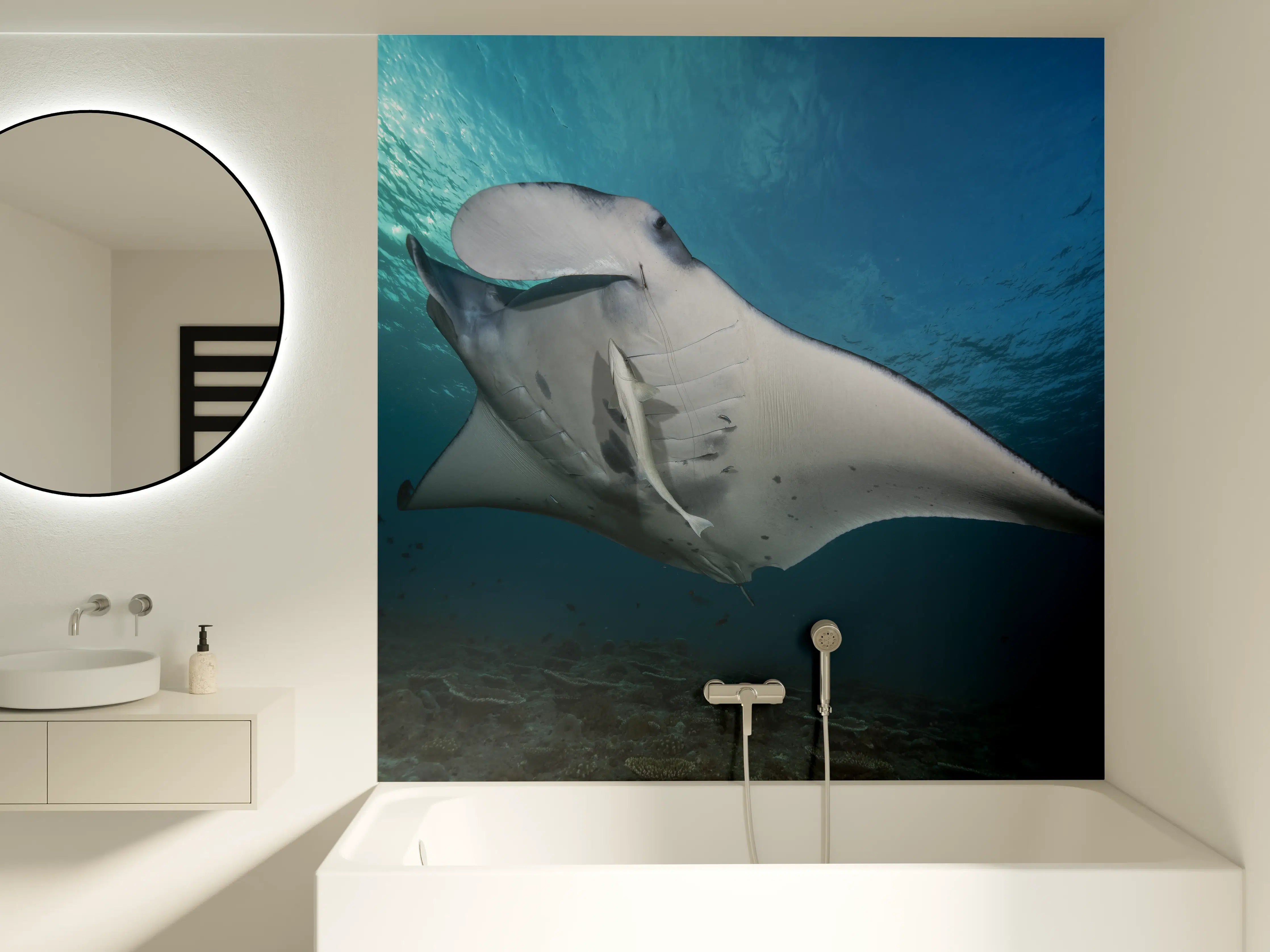 Badewannen-Rückwand - Riff-Manta Unterwasser