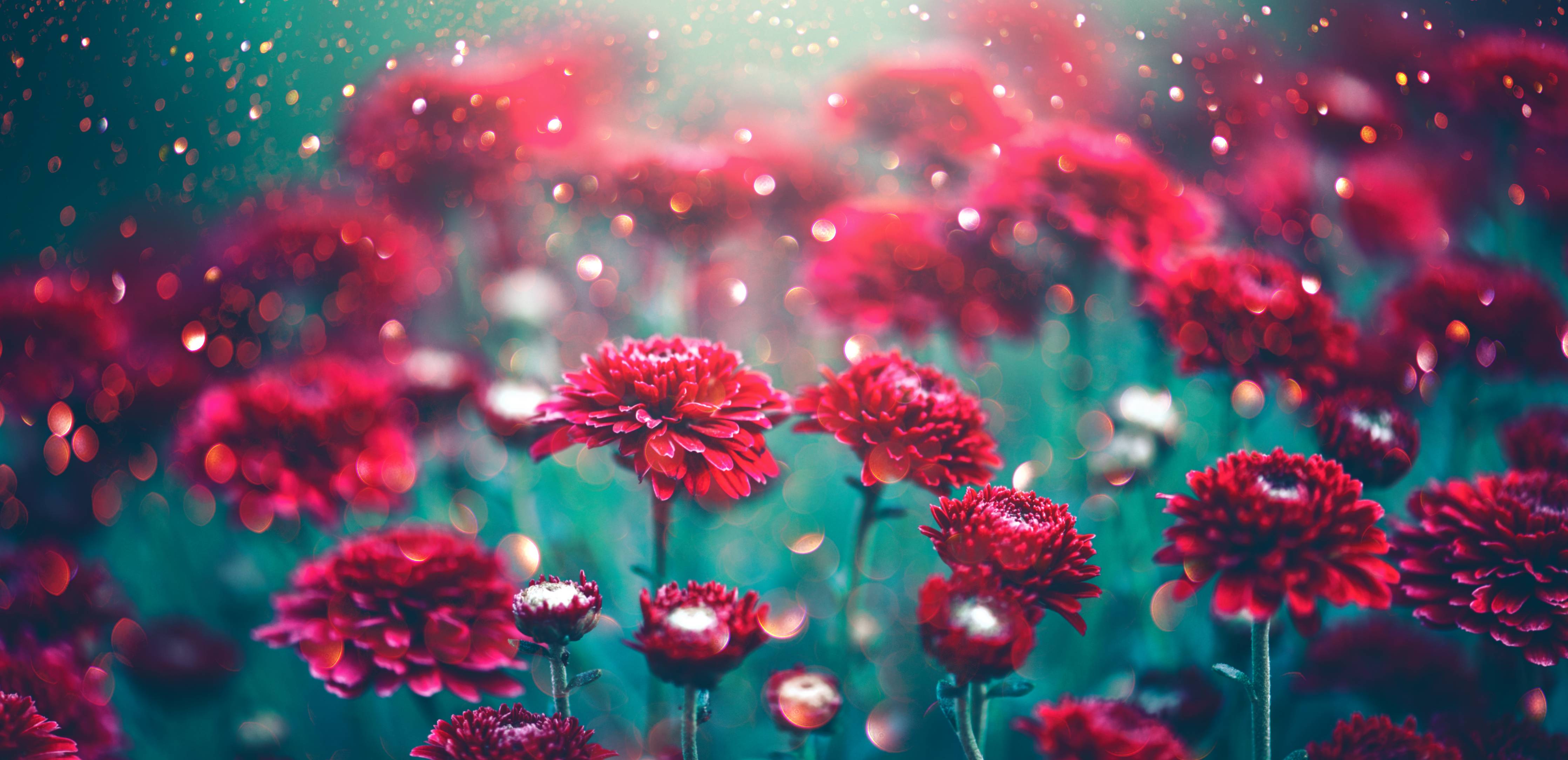 Badewannen-Rückwand-Rote Blumen funkeln im Garten