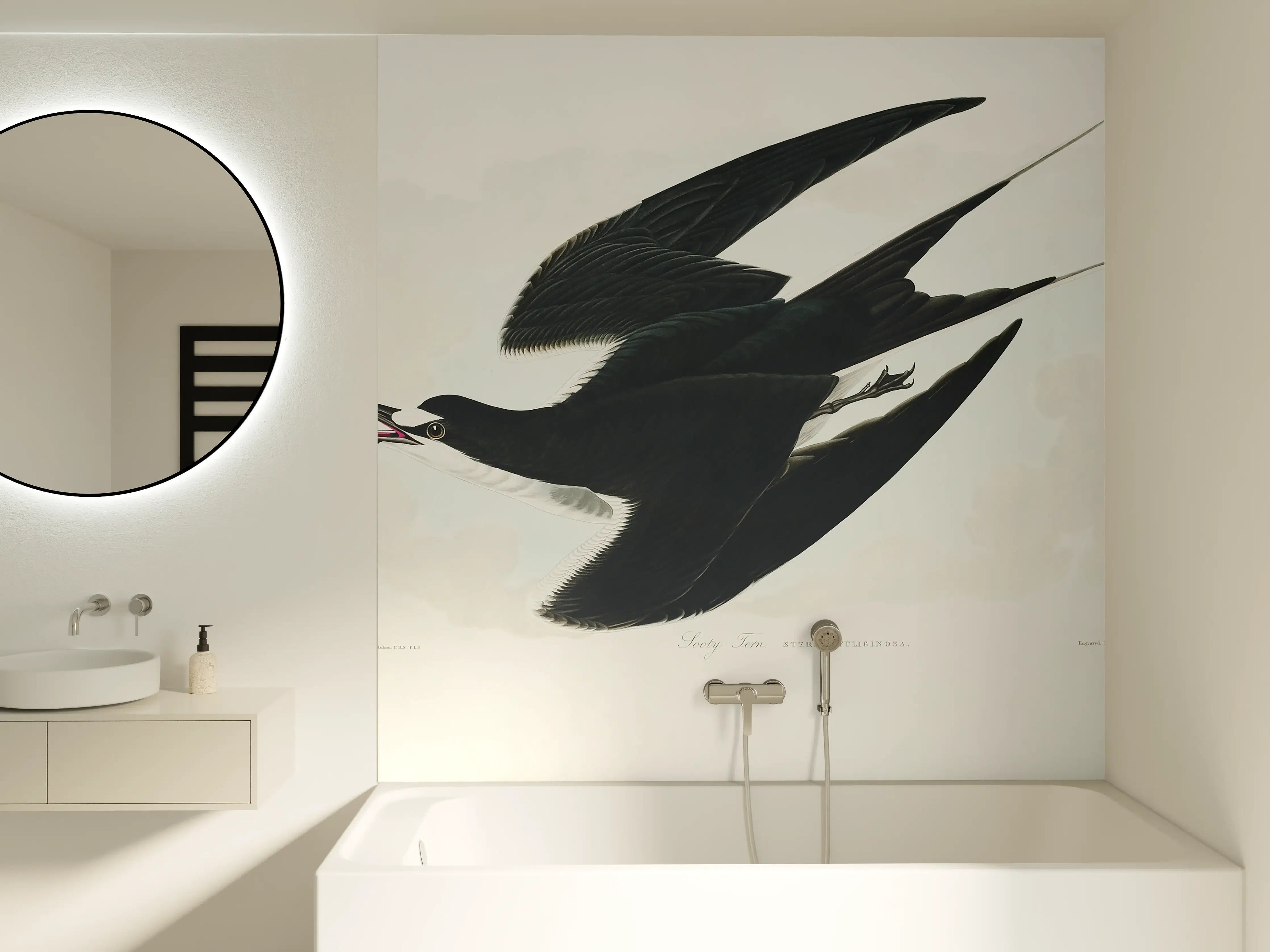 Badewannen-Rückwand - Rußseeschwalbe Portrait - John James Audubon