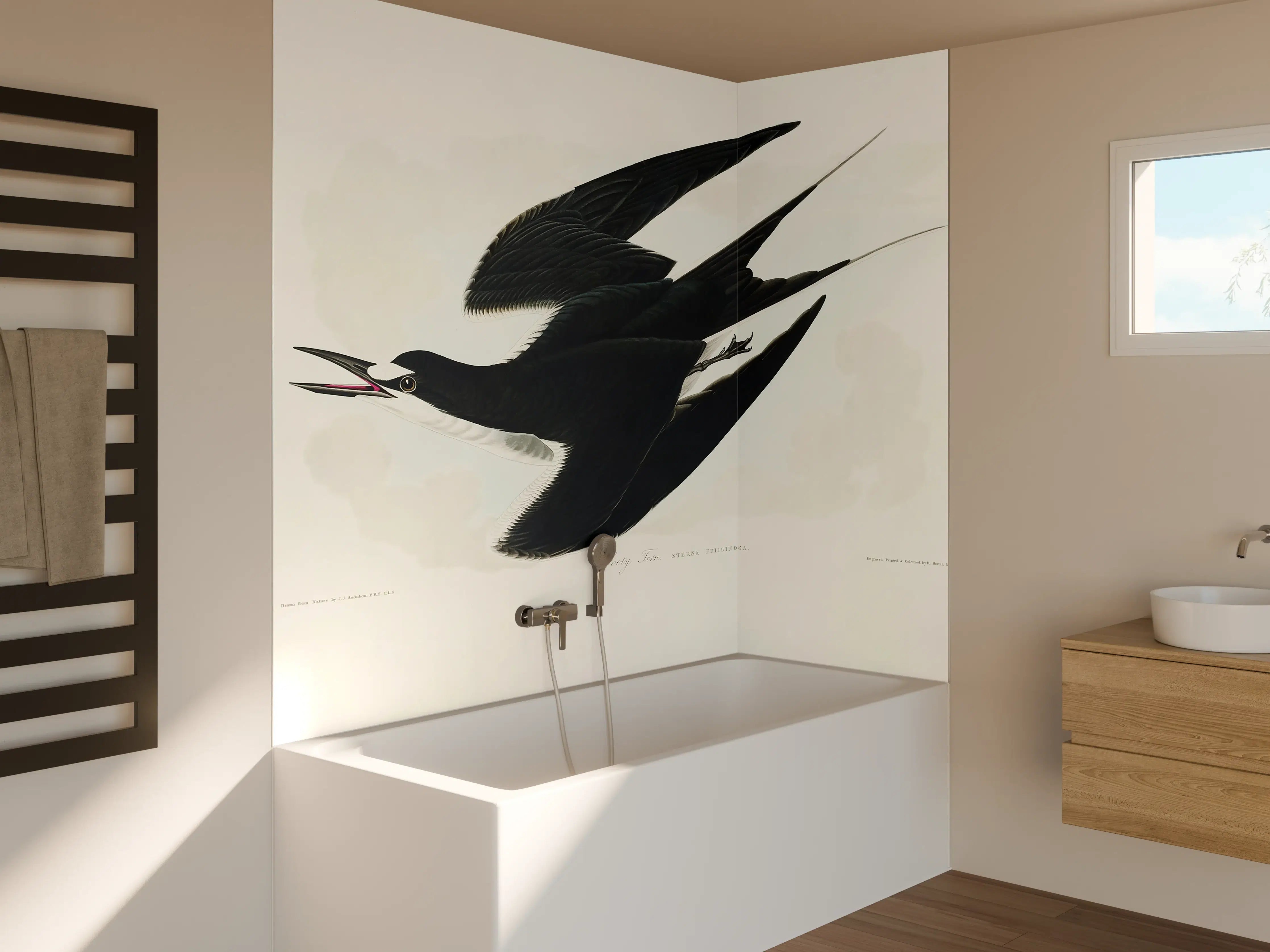 Badewannen-Rückwand - Rußseeschwalbe Portrait - John James Audubon