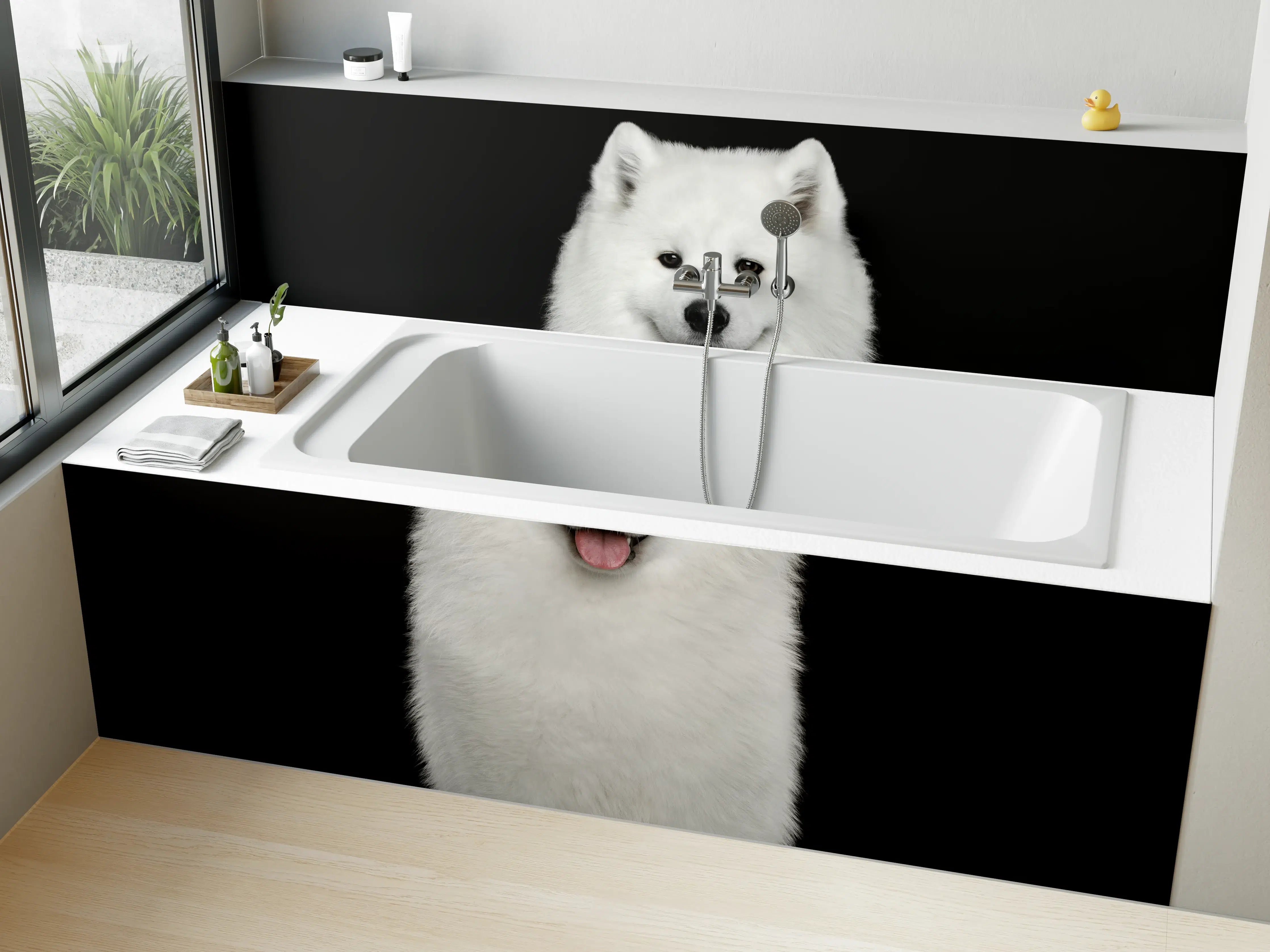 Badewannen-Rückwand - Samojeden Hund