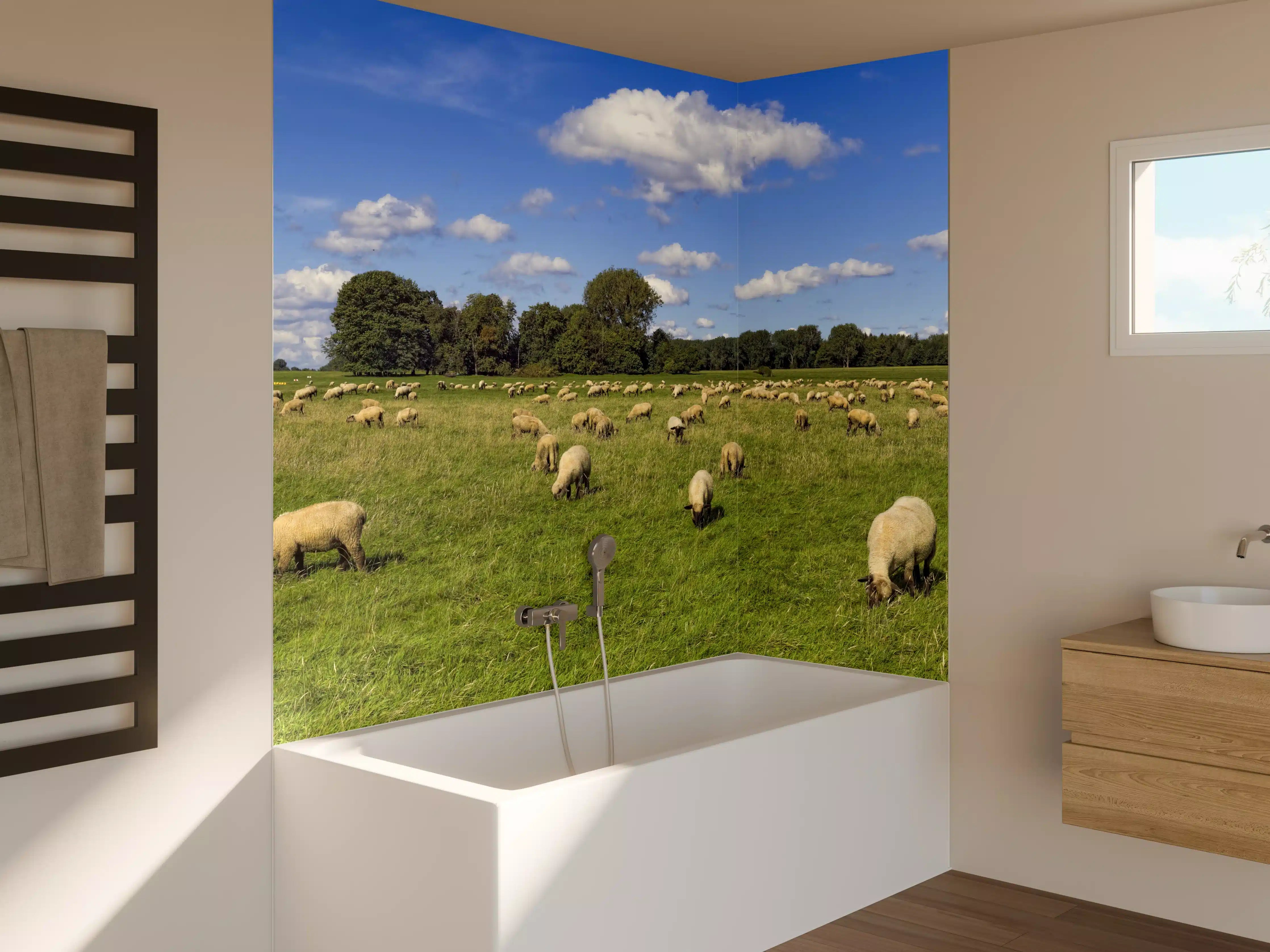 Badewannen-Rückwand - Schafherde Panorama