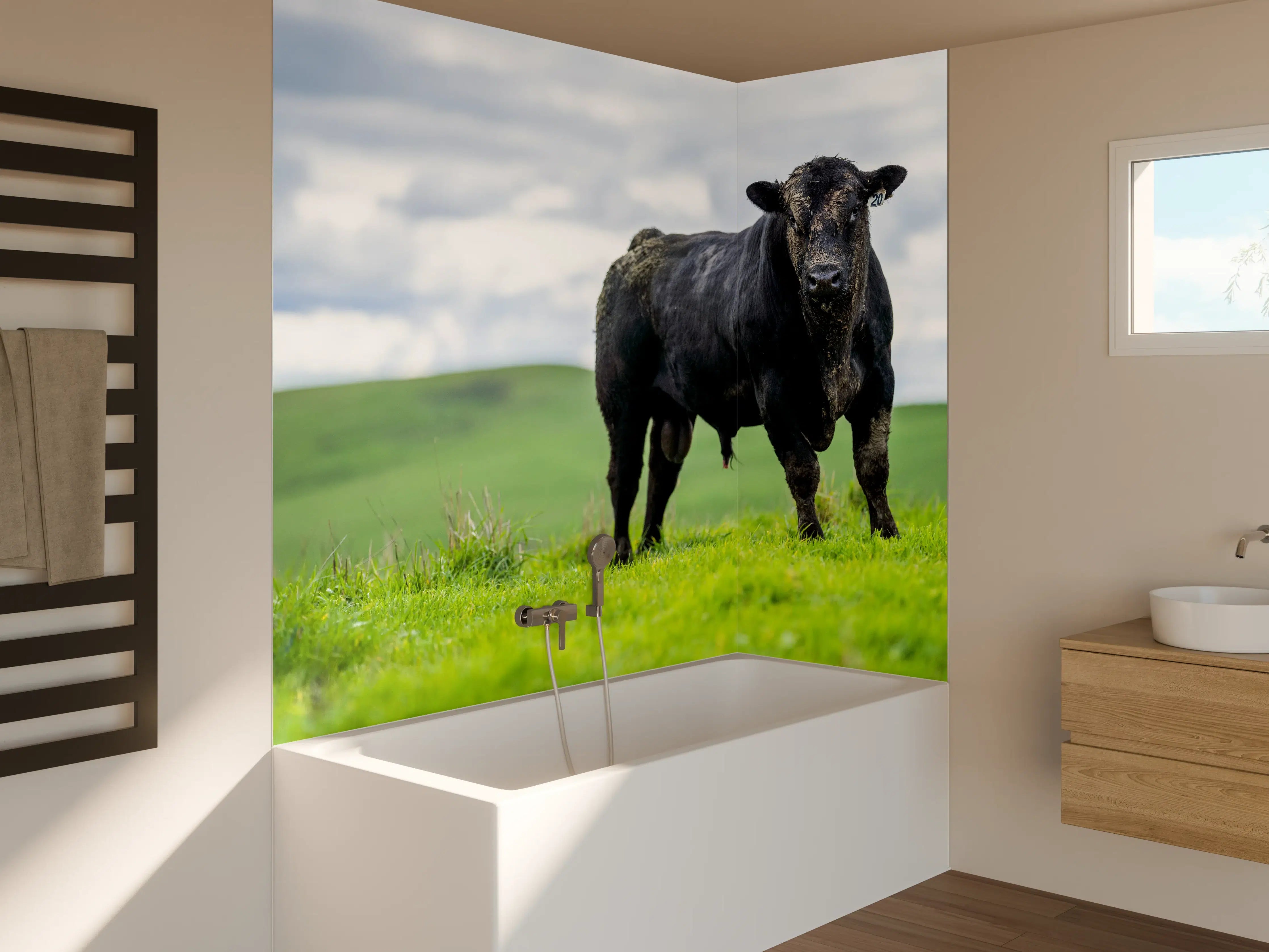 Badewannen-Rückwand - Schmutziger Aberdeen Angus