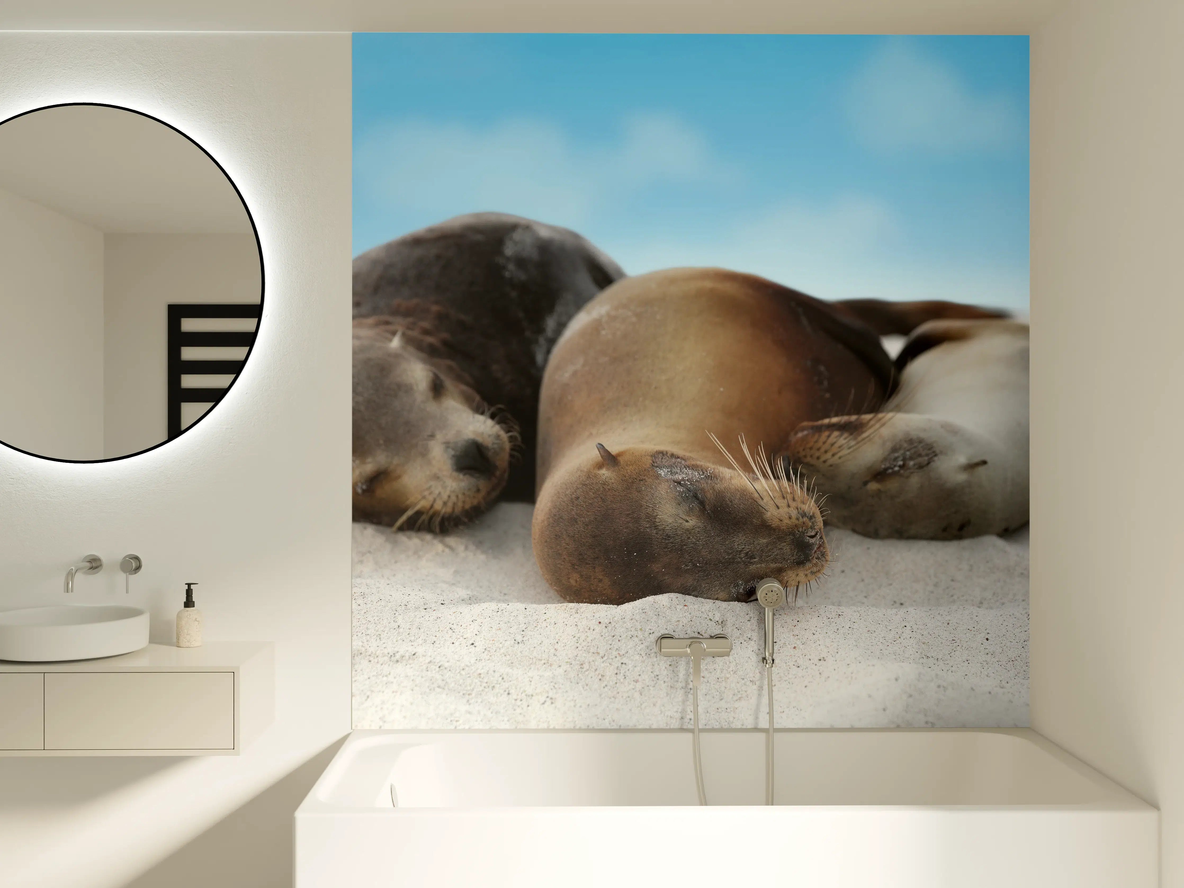 Badewannen-Rückwand - Seelöwen im Sand liegend