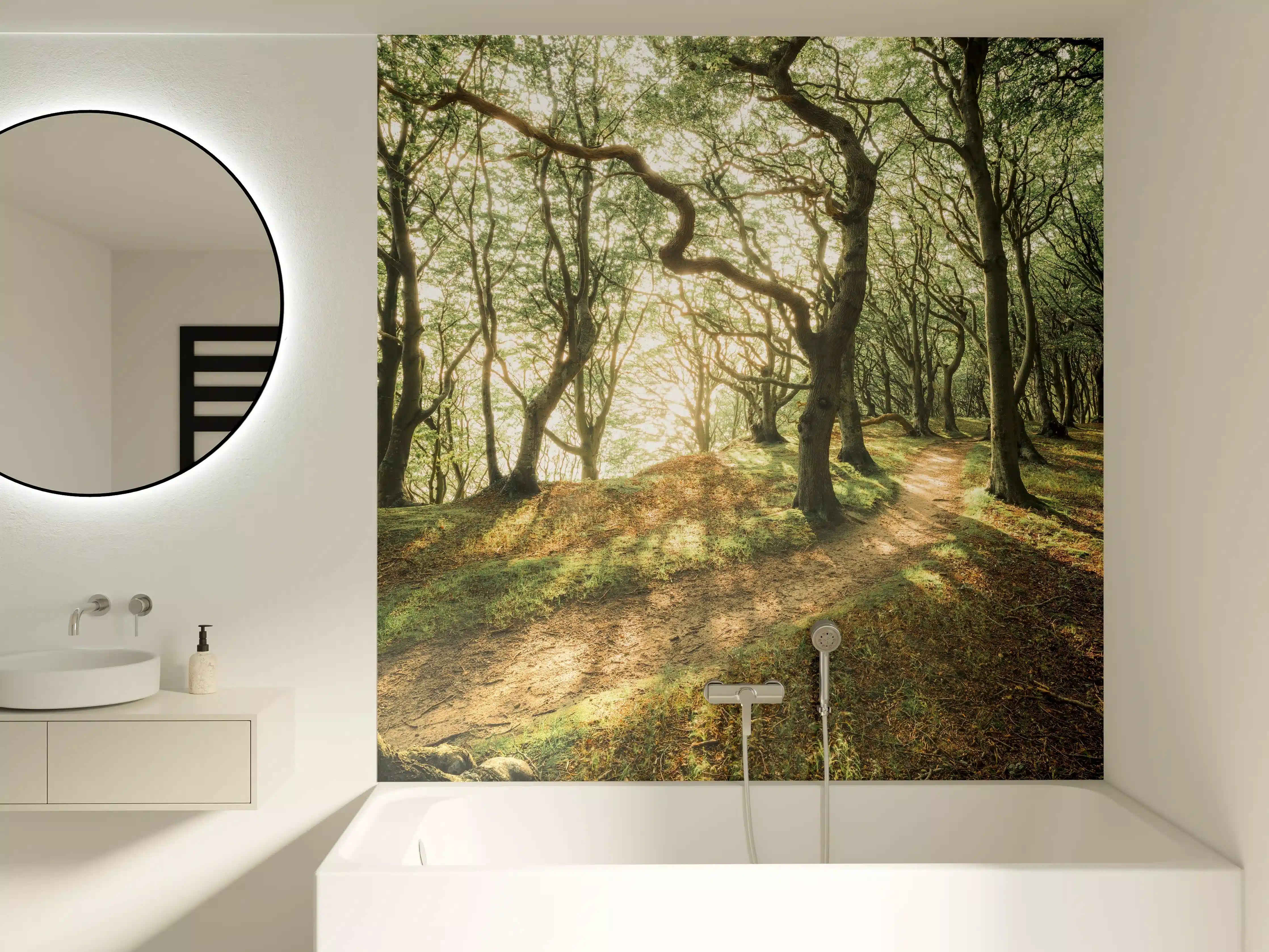 Badewannen-Rückwand - Sonnenstrahlen im Waldweg
